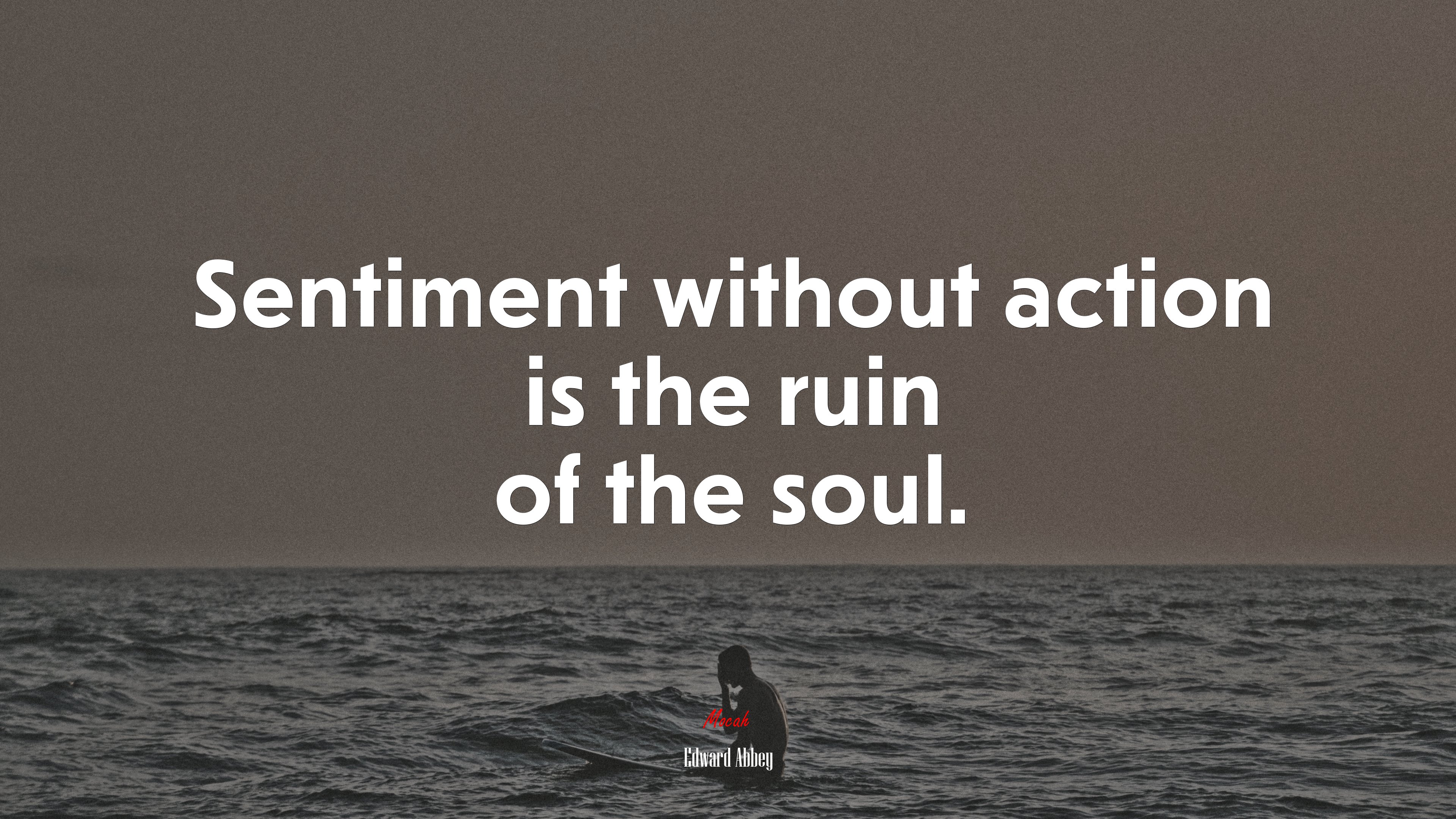 Sentiment without action is the ruin of the soul. | Edward Abbey quote HD Wallpaper