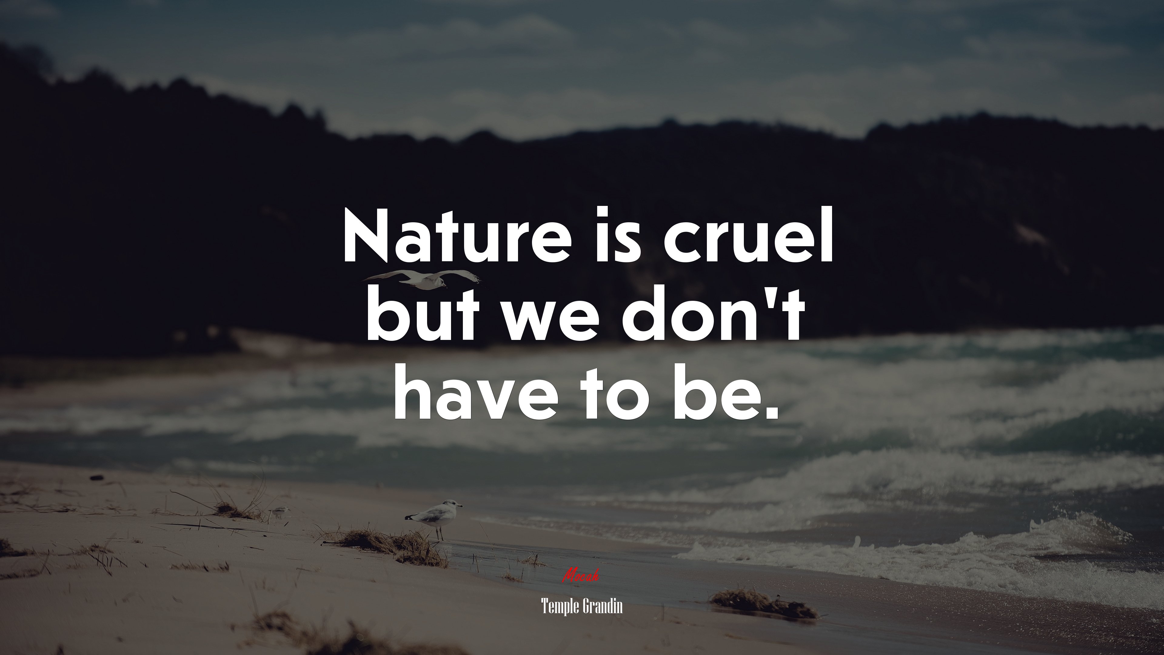 Nature is cruel but we don’t have to be. | Temple Grandin quote HD Wallpaper