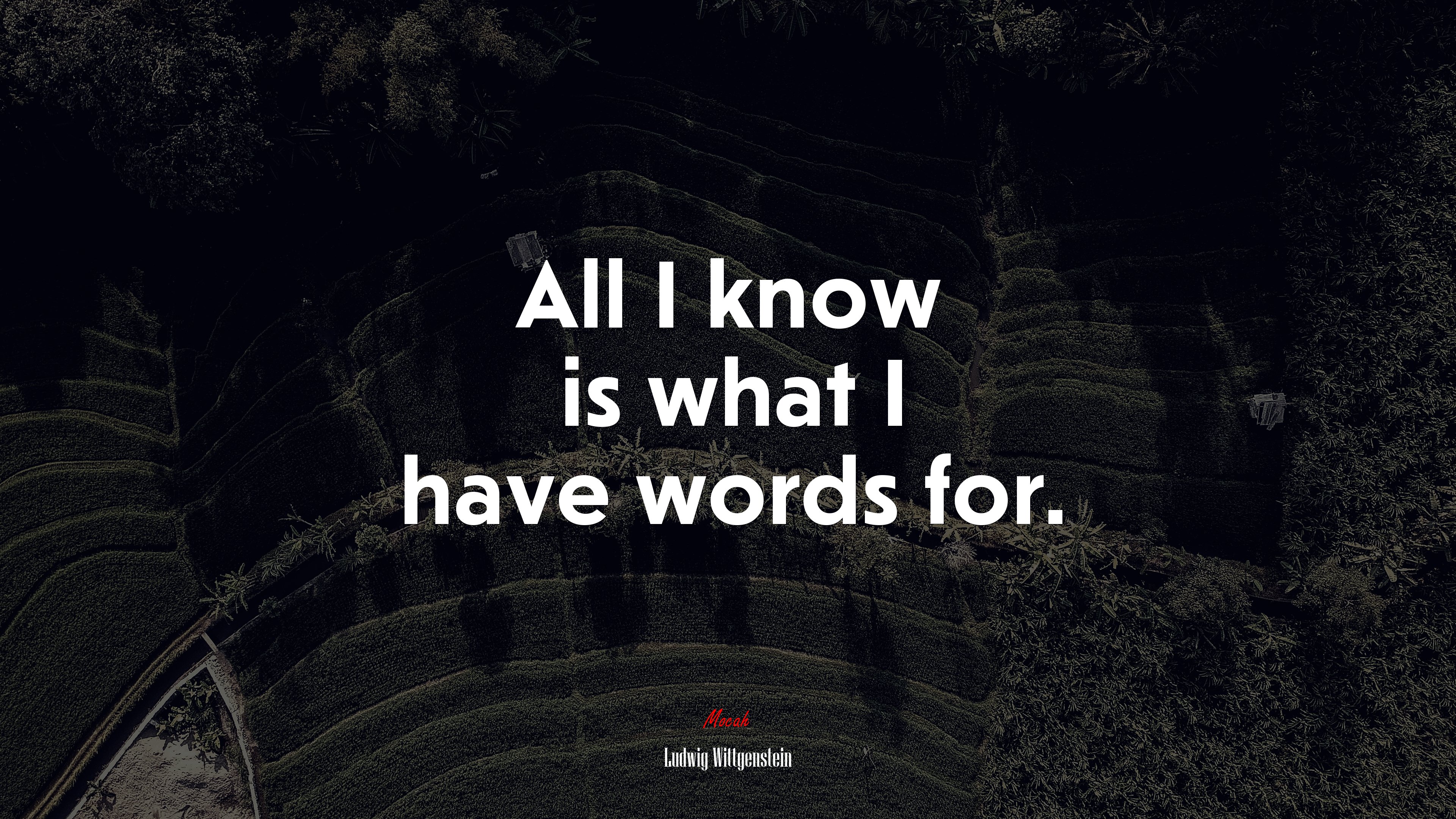 All I know is what I have words for. | Ludwig Wittgenstein quote HD Wallpaper