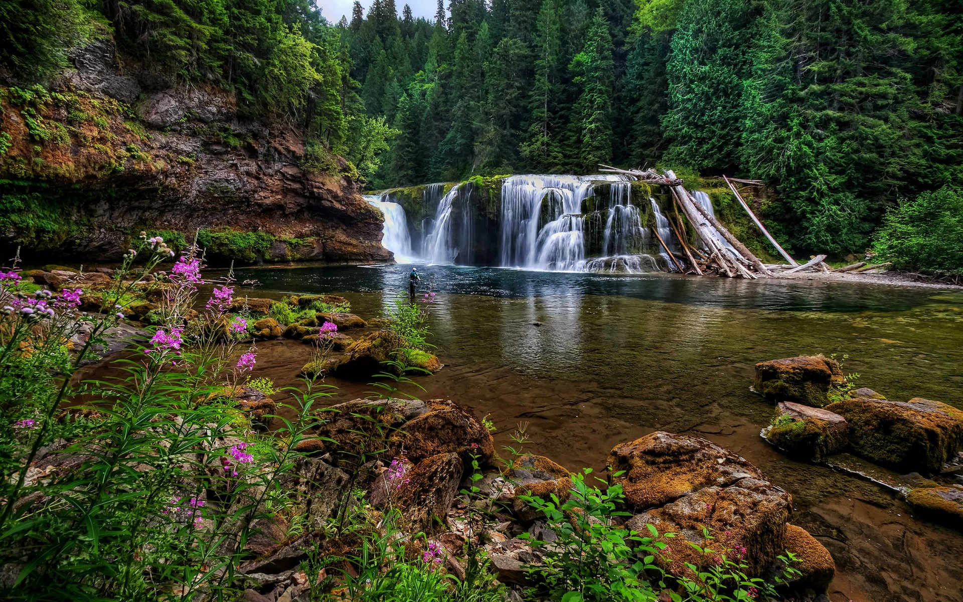 Waterfall in a forest with pink flowers HD Wallpaper