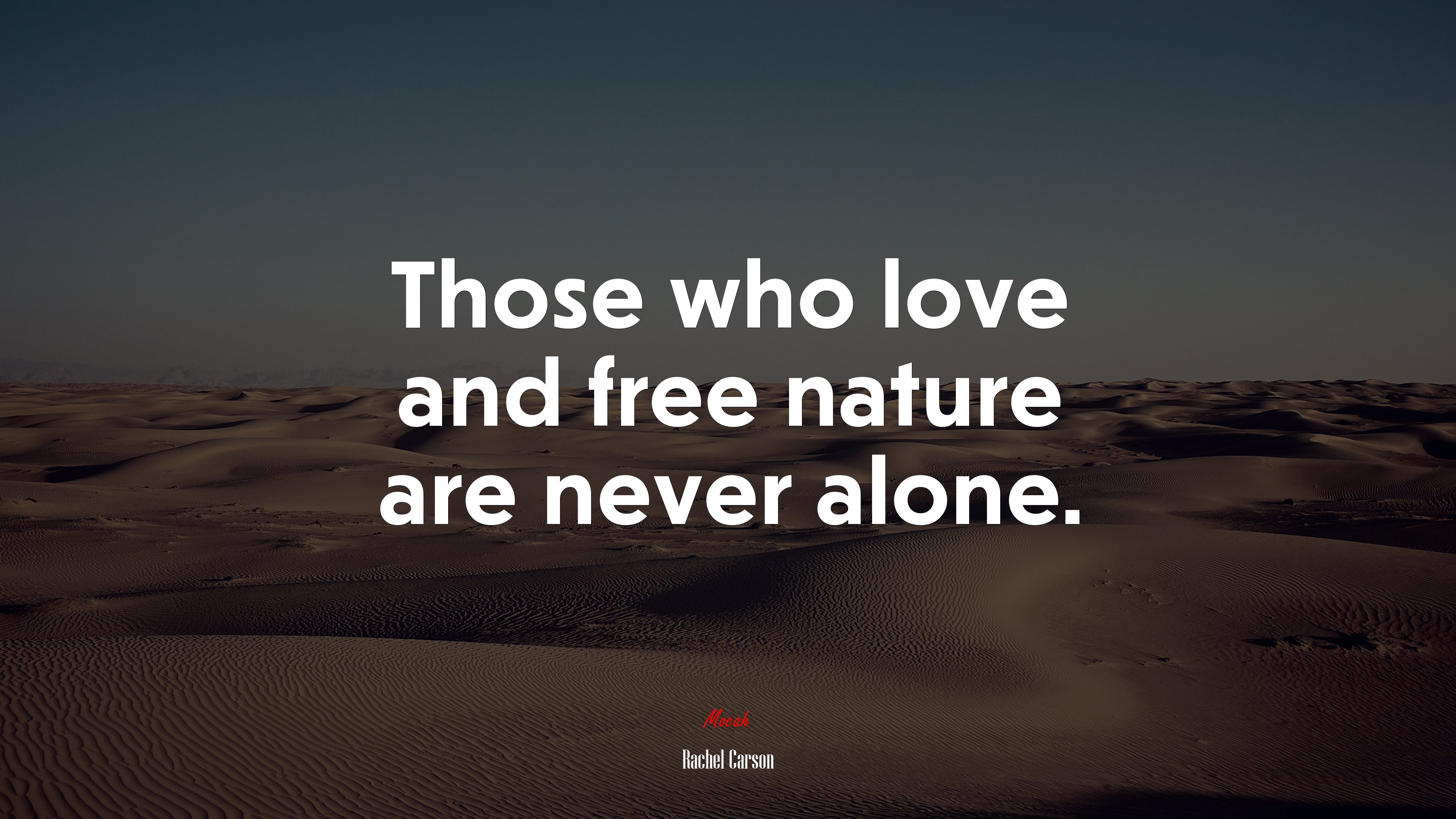 Those who love and free nature are never alone. | Rachel Carson quote HD Wallpaper