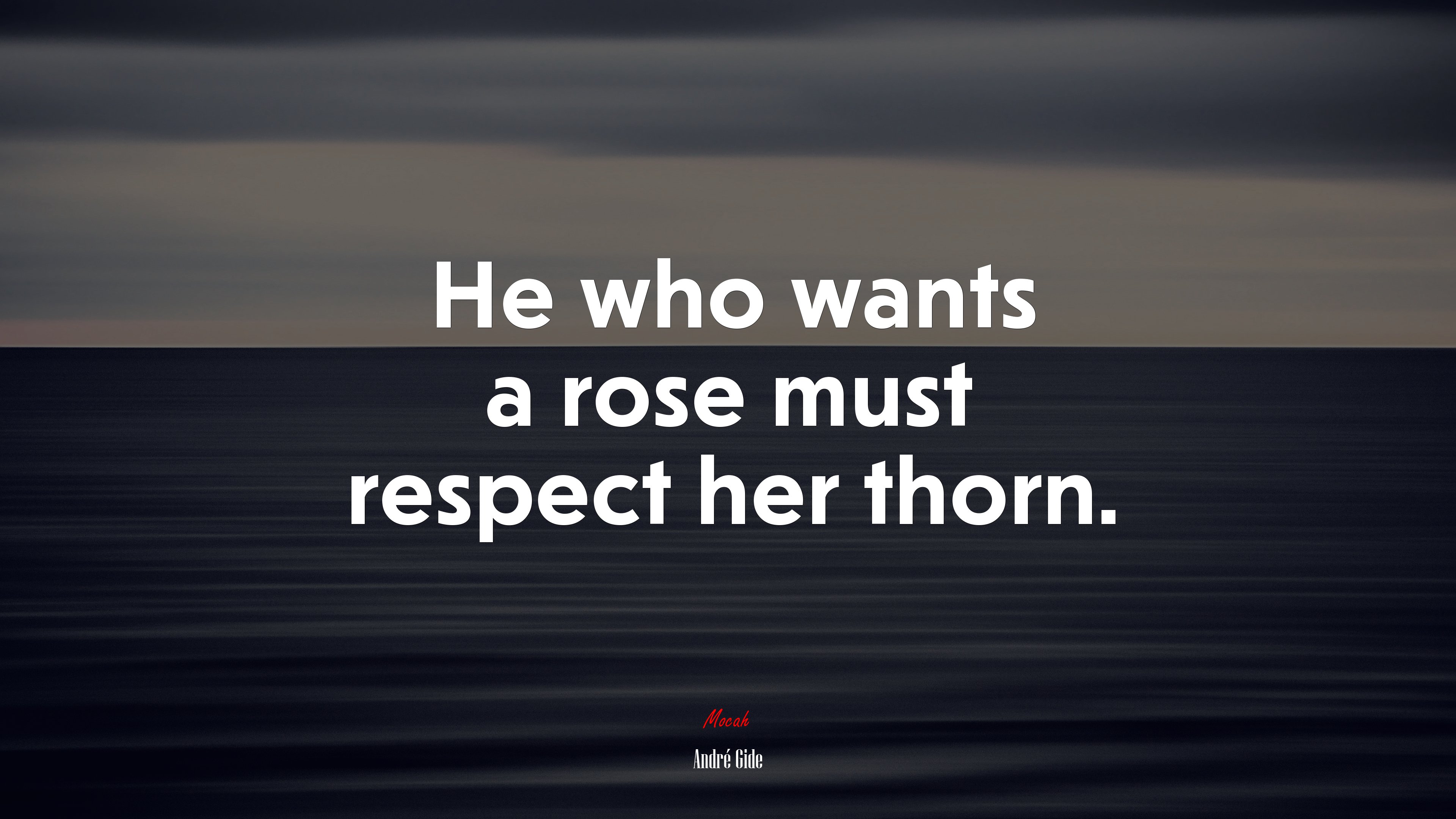 He who wants a rose must respect her thorn. | André Gide quote HD Wallpaper