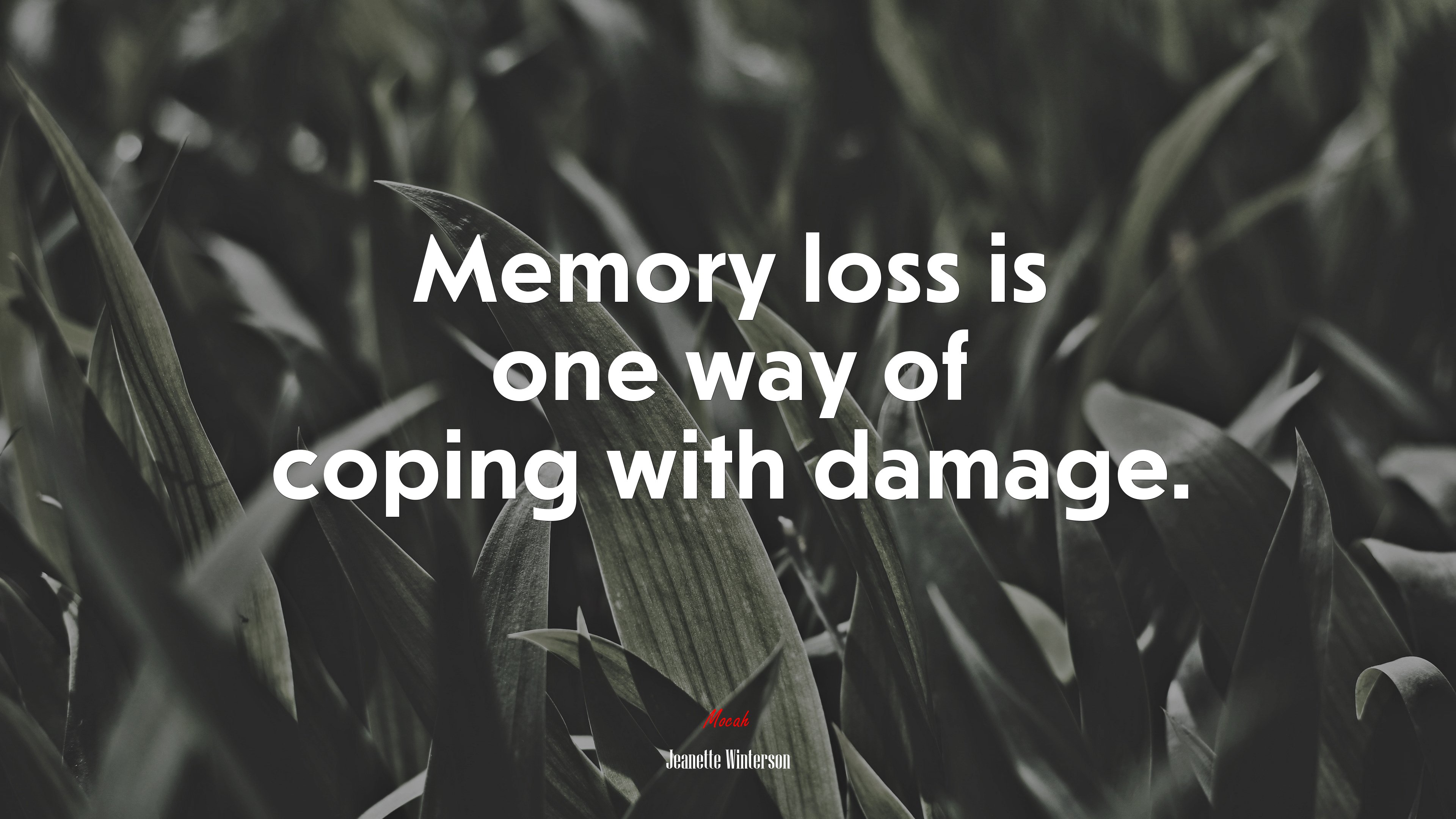 Memory loss is one way of coping with damage. | Jeanette Winterson quote HD Wallpaper