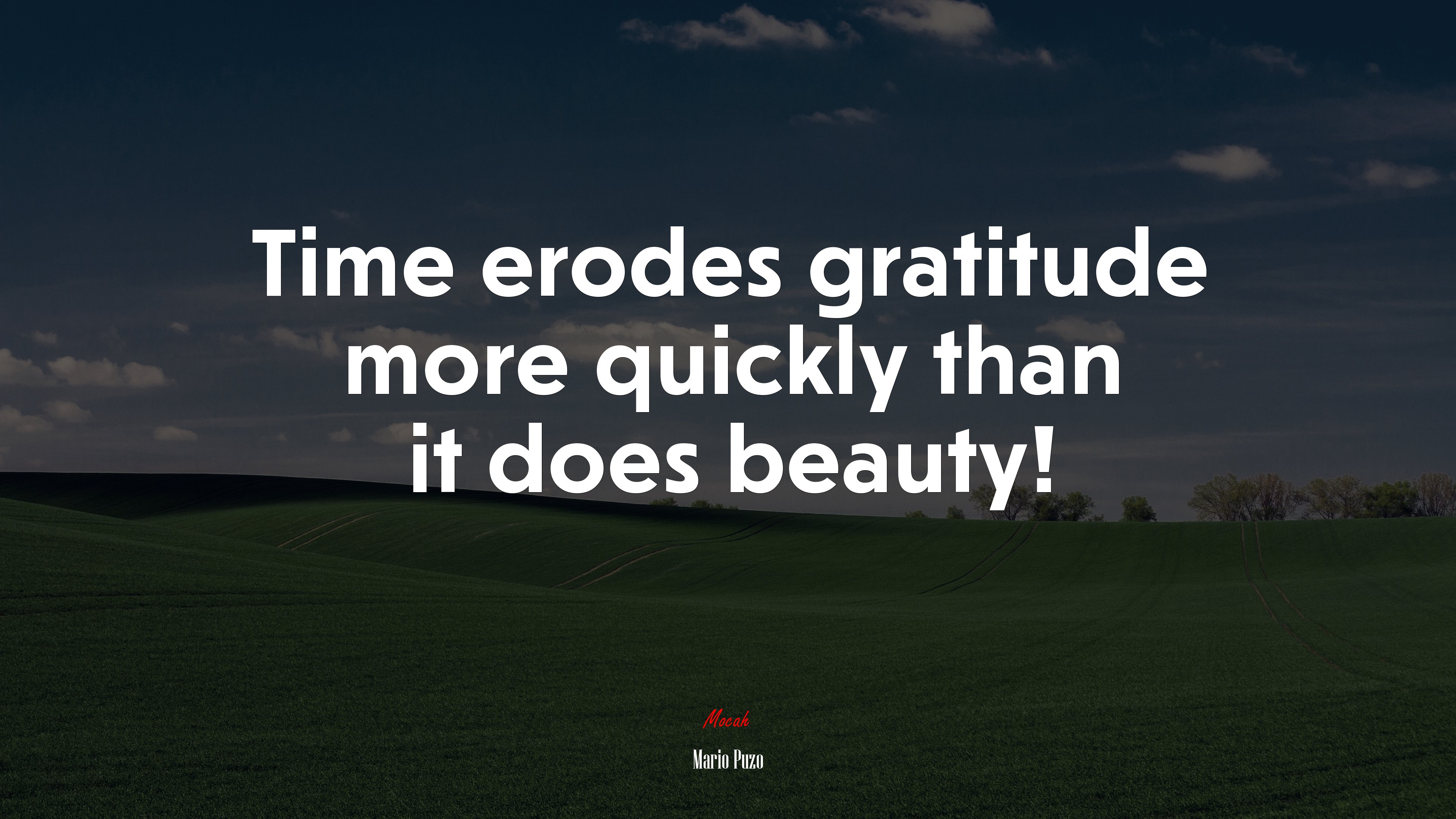 Time erodes gratitude more quickly than it does beauty! | Mario Puzo quote HD Wallpaper