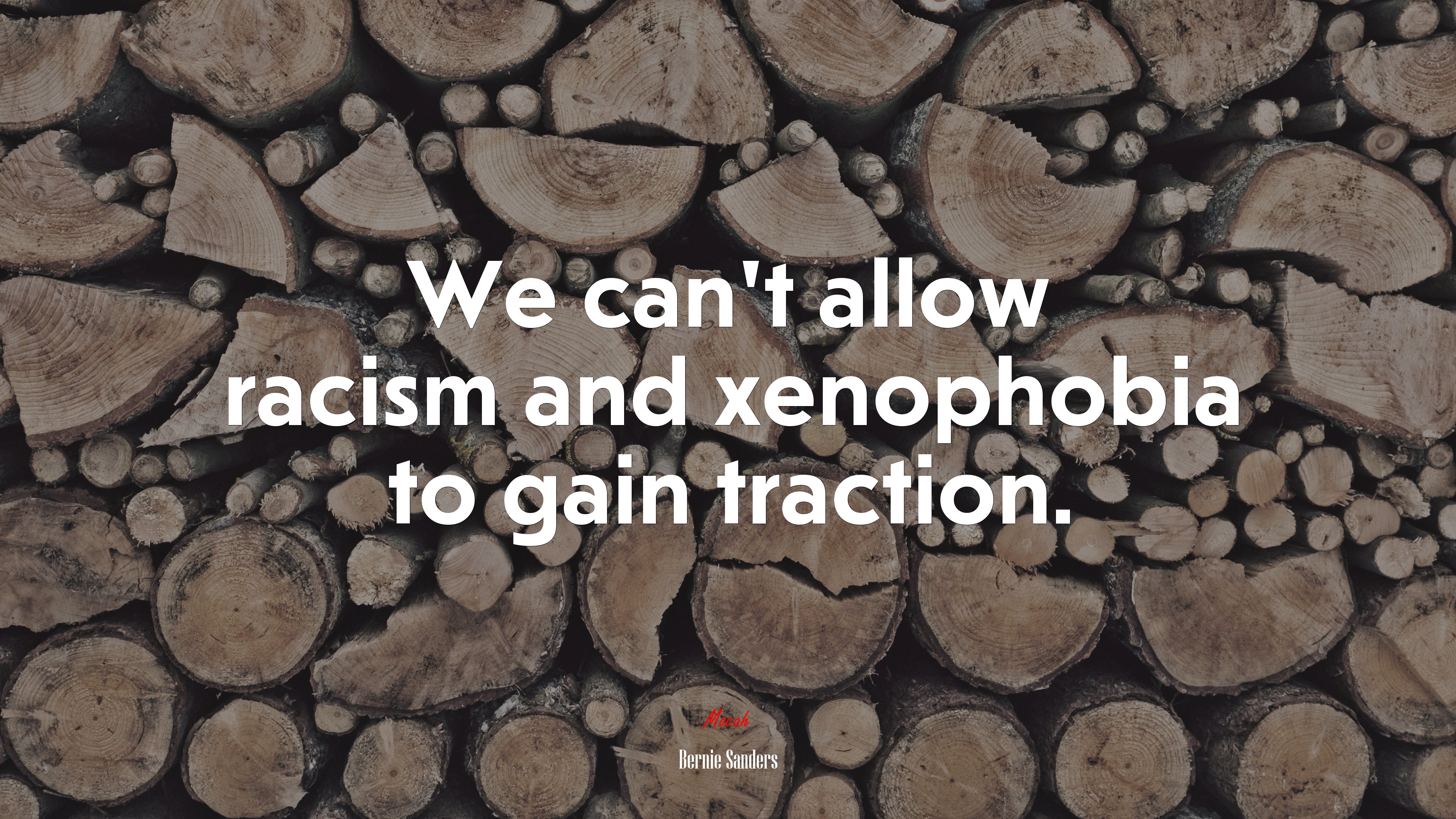 We can’t allow racism and xenophobia to gain traction. | Bernie Sanders quote HD Wallpaper