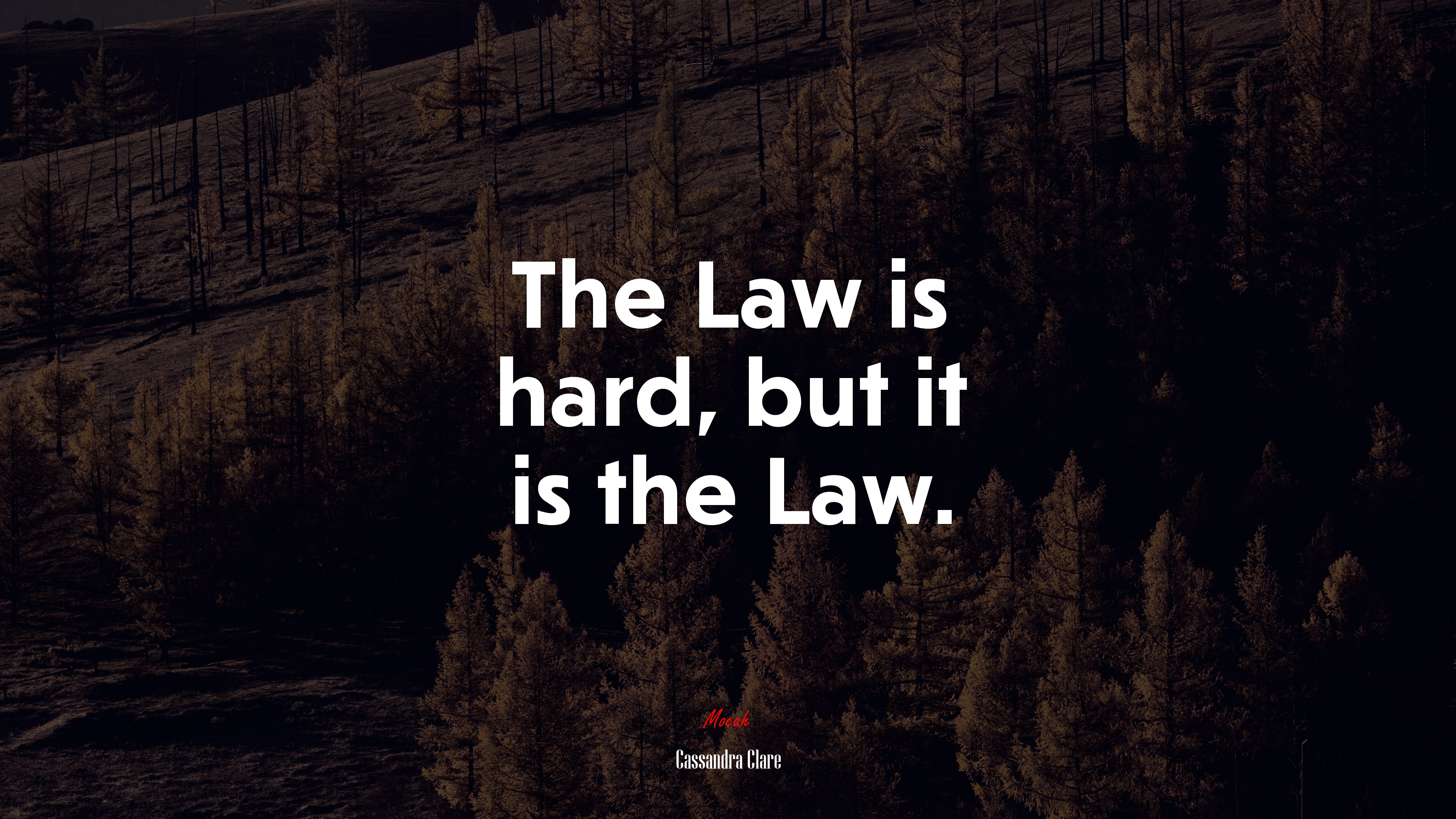 The Law is hard, but it is the Law. | Cassandra Clare quote HD Wallpaper
