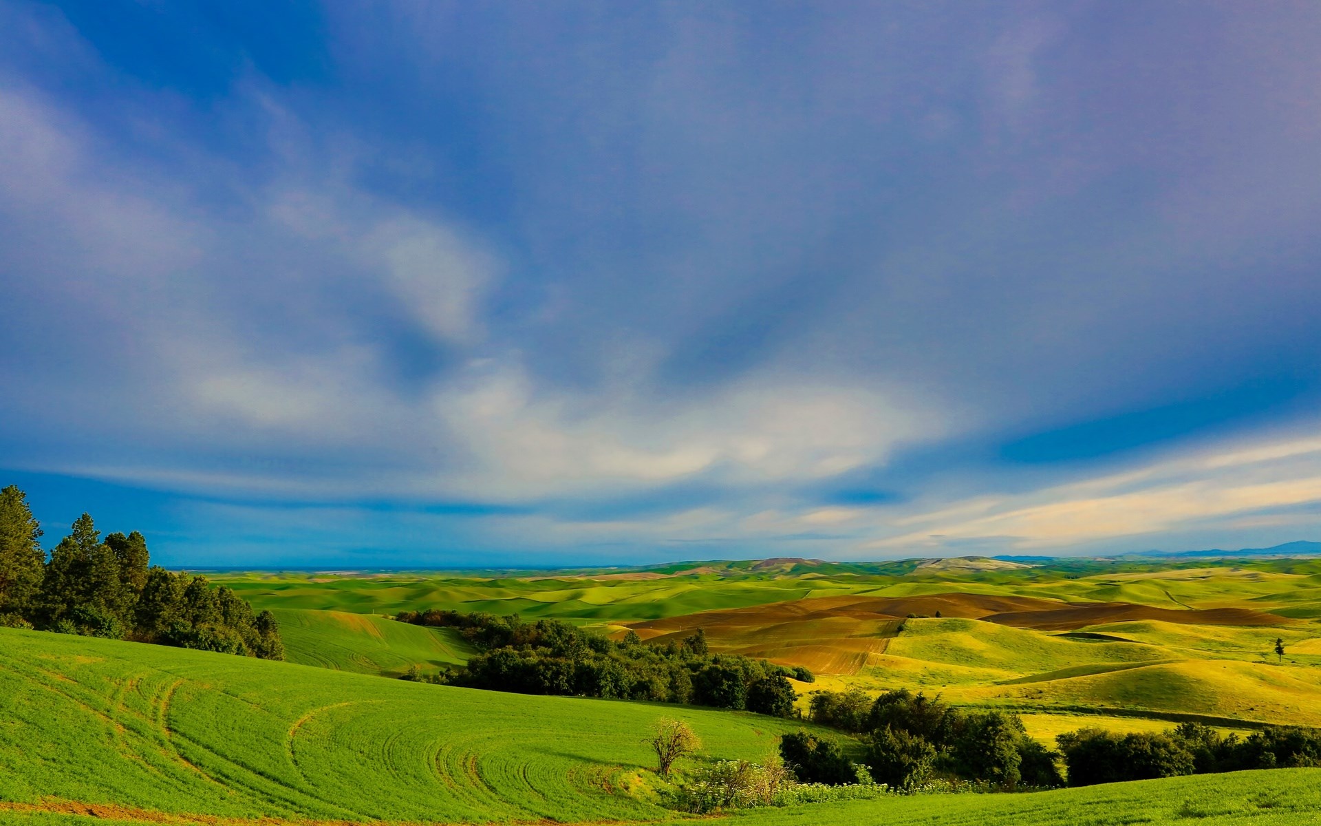 Rolling green hills under a blue sky with clouds HD Wallpaper