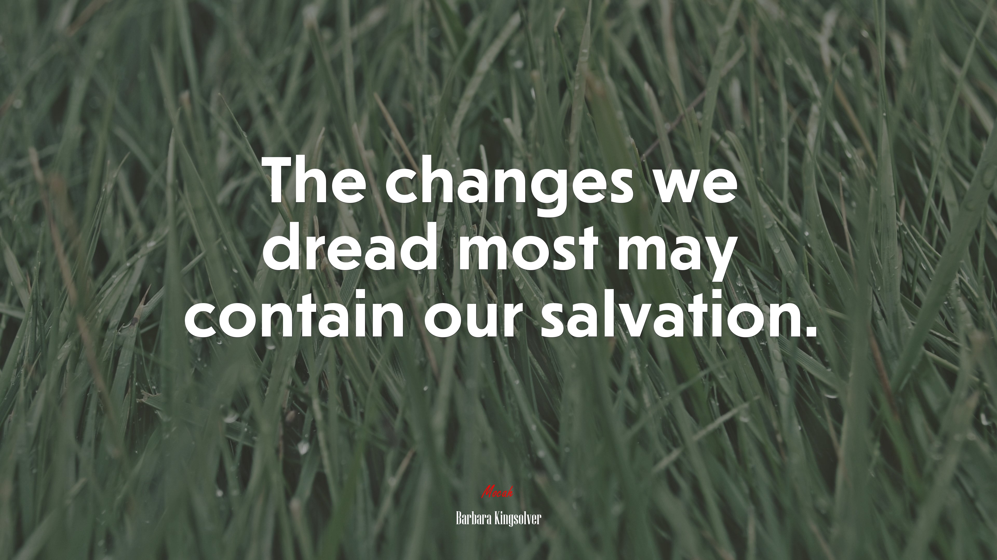 The changes we dread most may contain our salvation. | Barbara Kingsolver quote HD Wallpaper