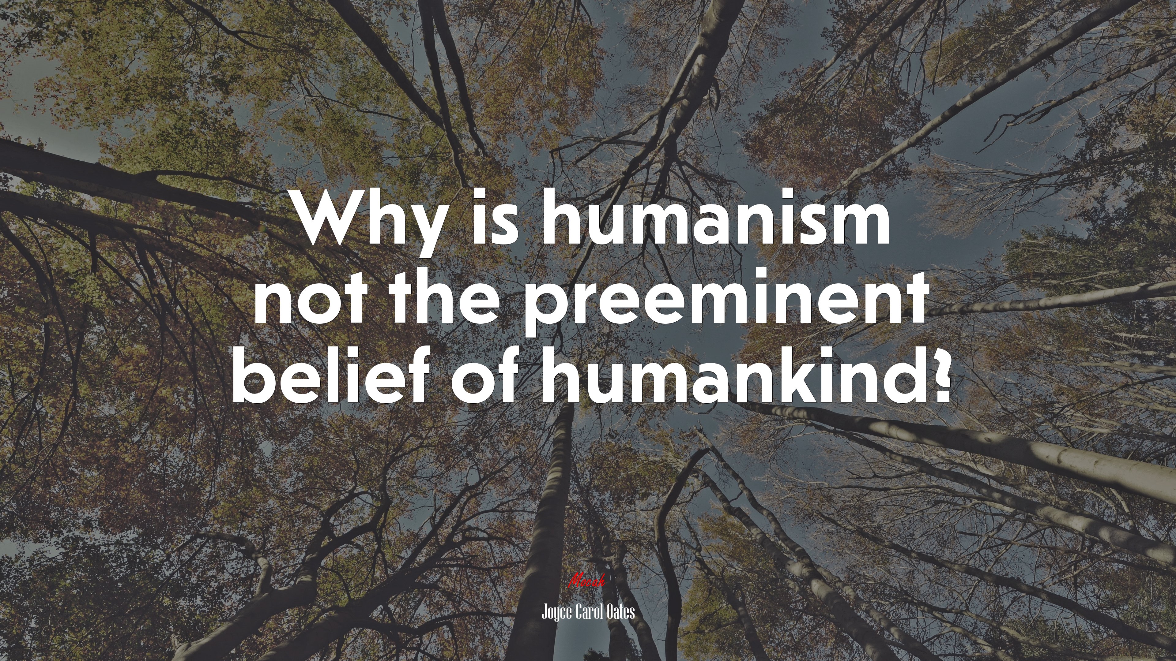 Why is humanism not the preeminent belief of humankind? | Joyce Carol Oates quote HD Wallpaper