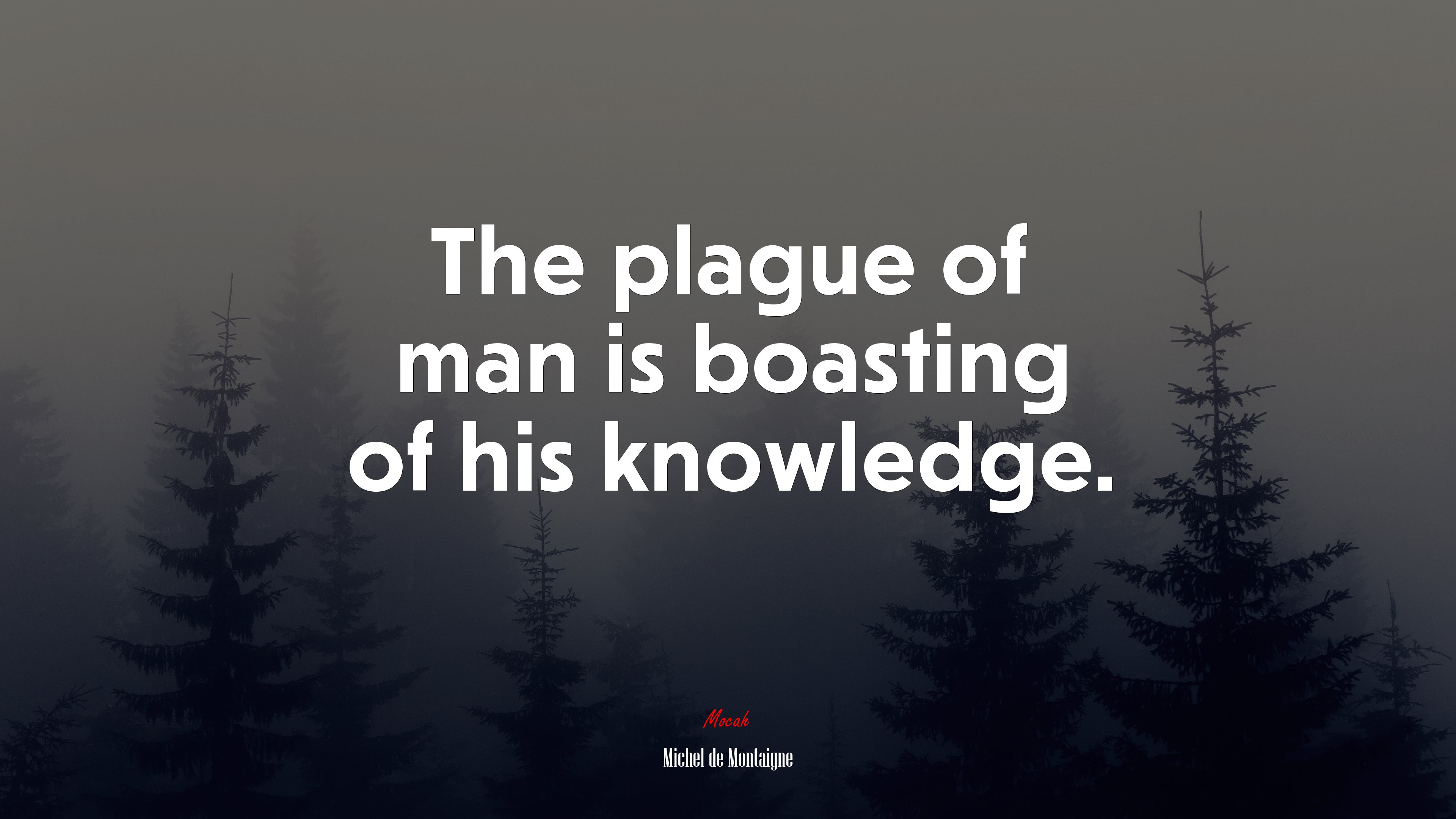 The plague of man is boasting of his knowledge. | Michel de Montaigne quote HD Wallpaper