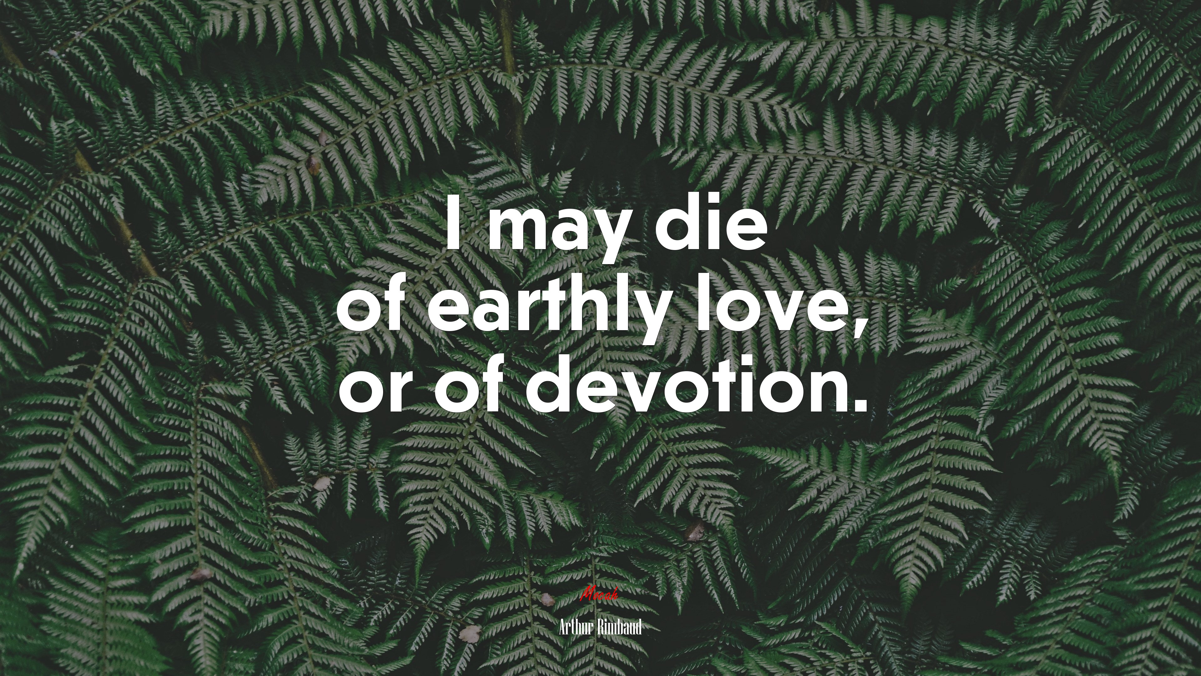 I may die of earthly love, or of devotion. | Arthur Rimbaud quote HD Wallpaper
