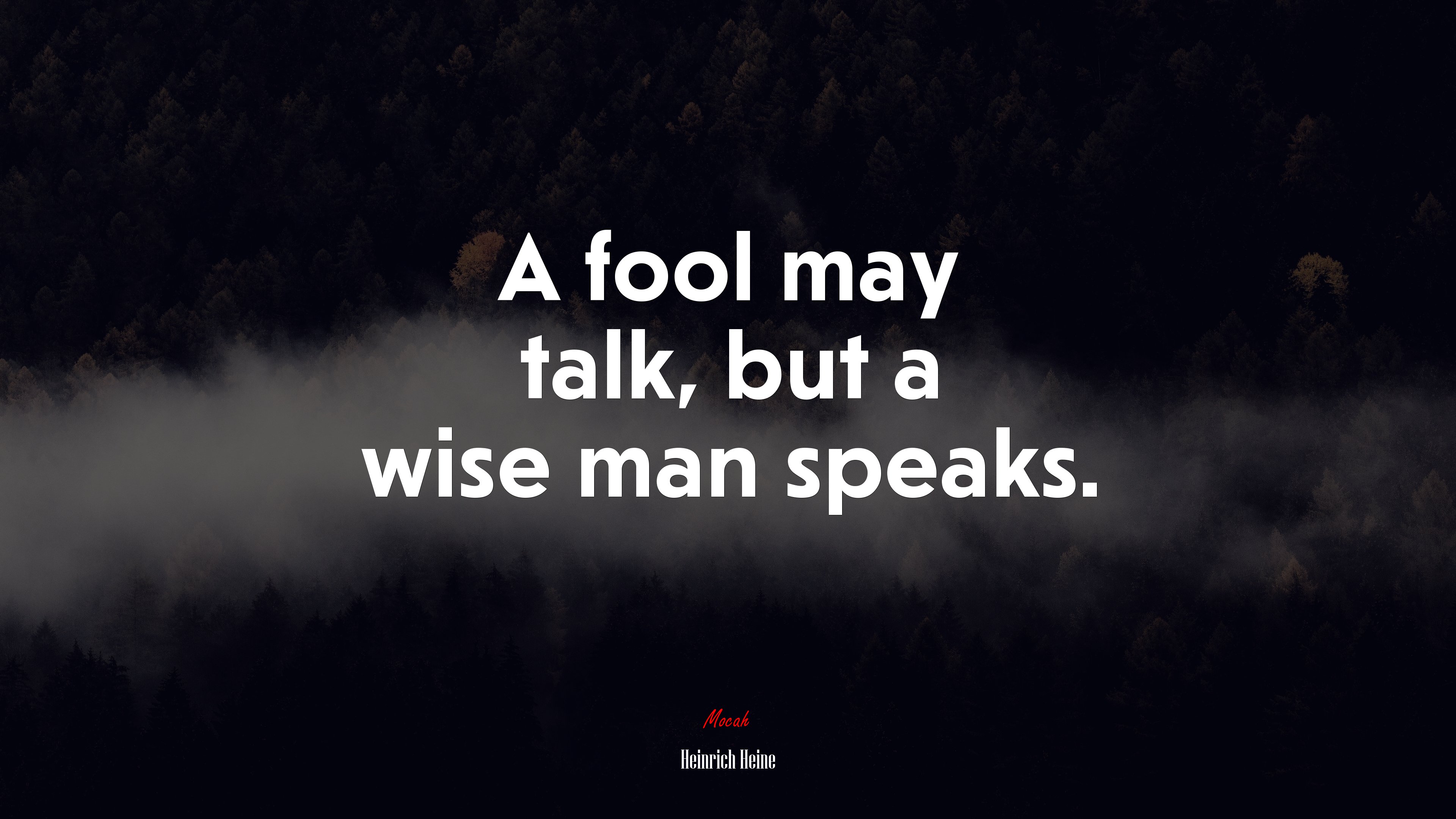 A fool may talk, but a wise man speaks. | Heinrich Heine quote HD Wallpaper