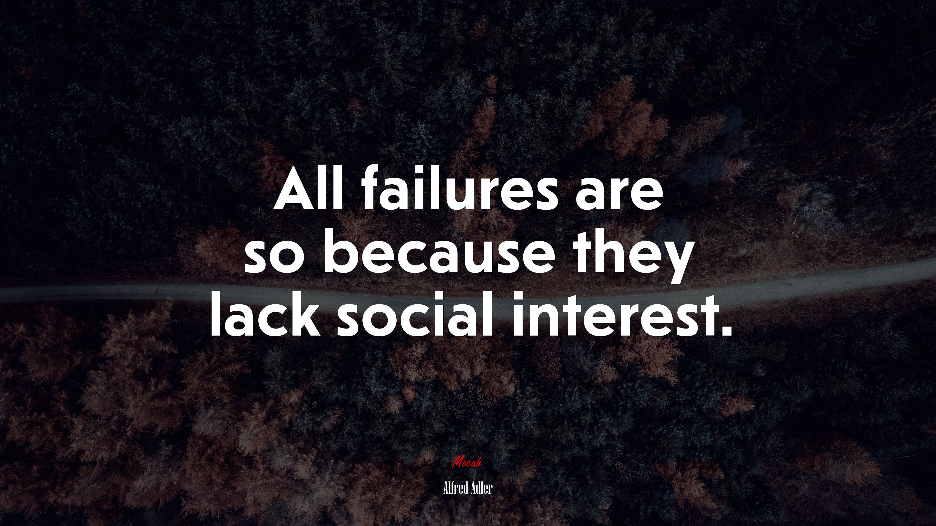 All failures are so because they lack social interest. | Alfred Adler quote HD Wallpaper