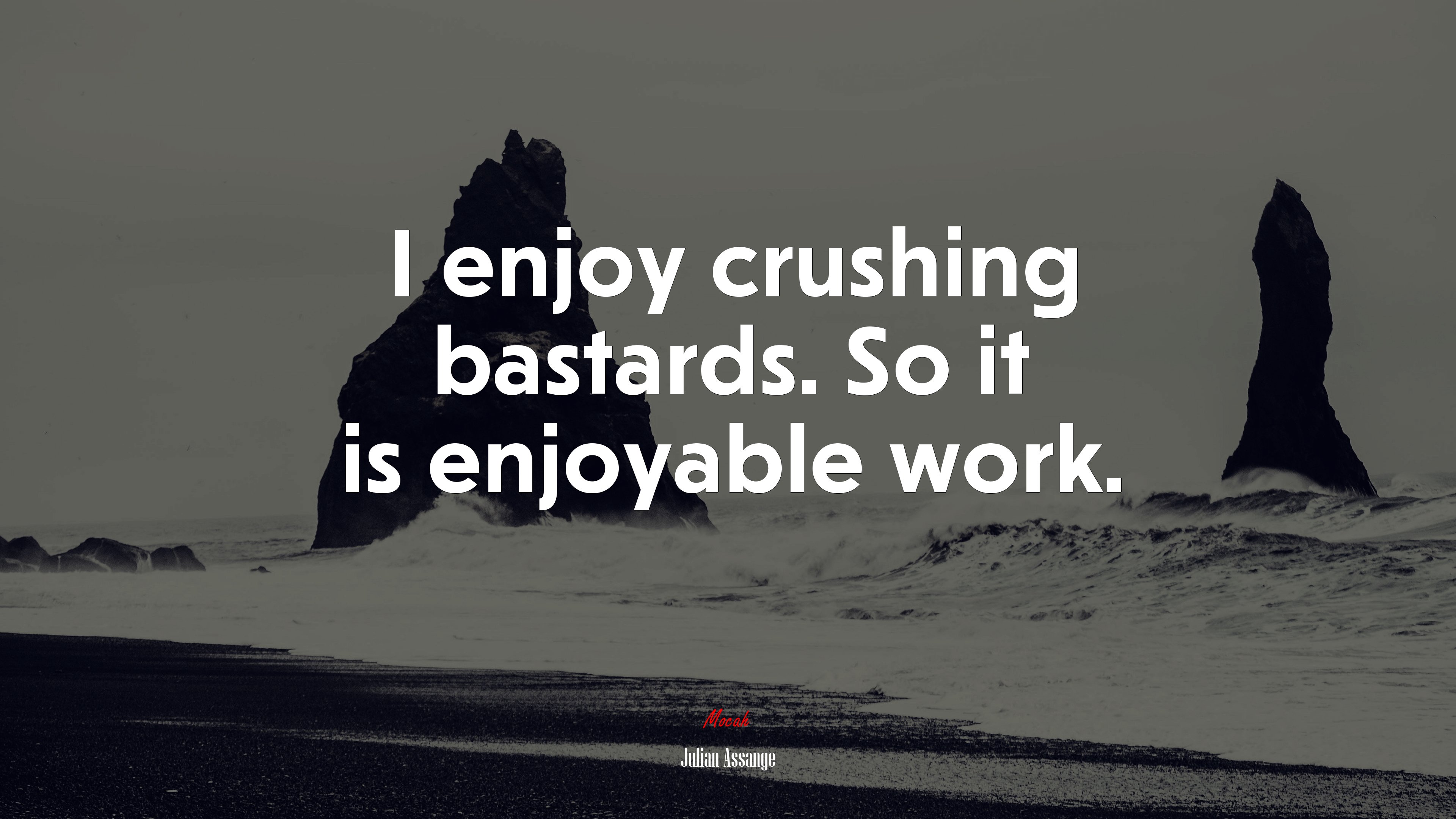 I enjoy crushing bastards. So it is enjoyable work. | Julian Assange quote HD Wallpaper