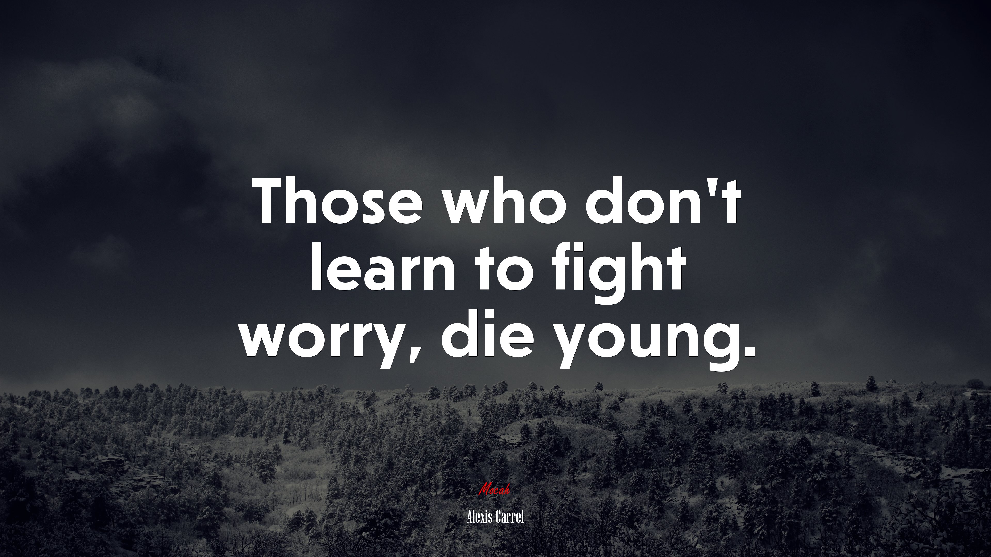 Those who don’t learn to fight worry, die young. | Alexis Carrel quote HD Wallpaper