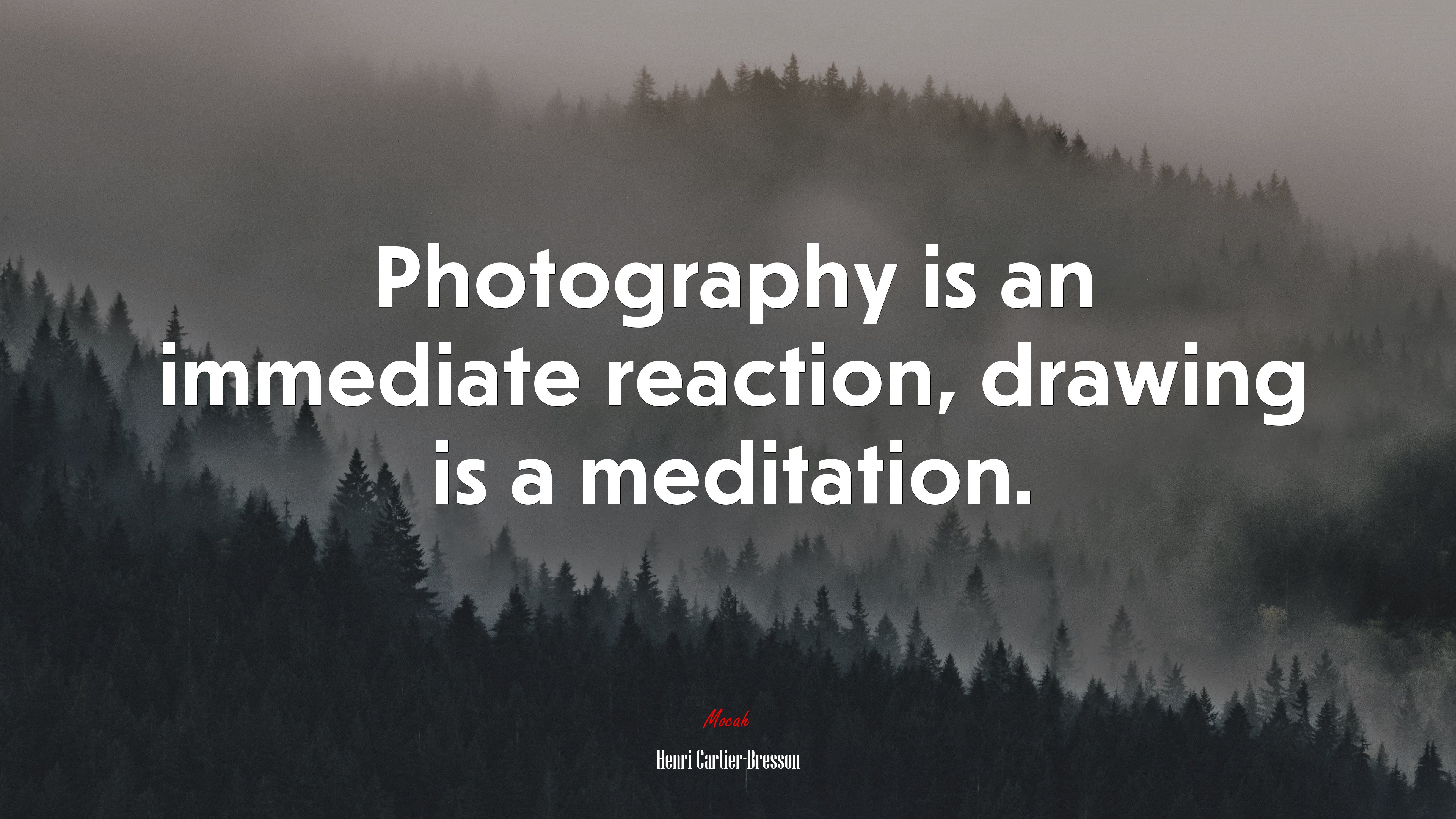 Photography is an immediate reaction, drawing is a meditation. | Henri Cartier-Bresson quote HD Wallpaper