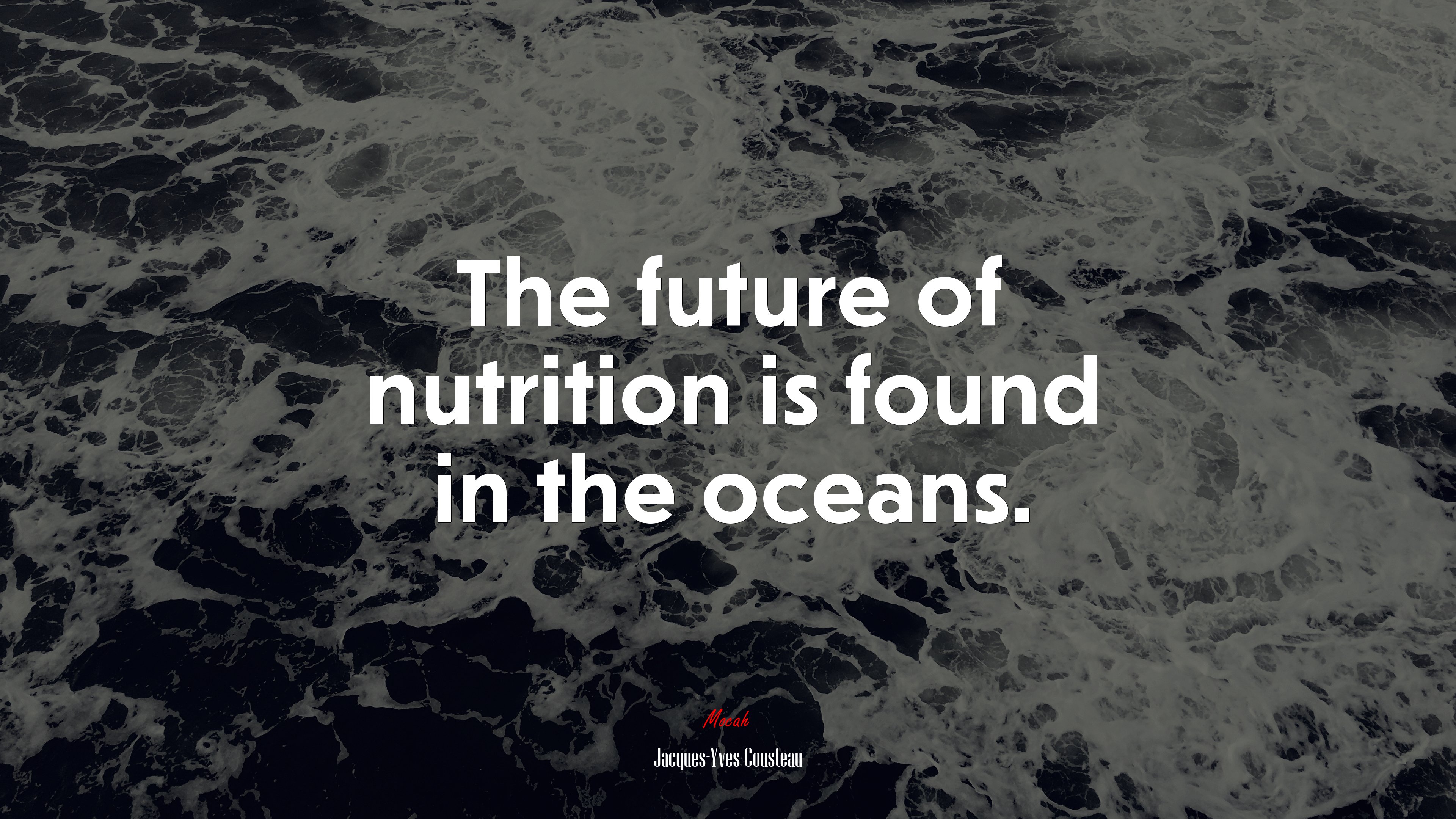 The future of nutrition is found in the oceans. | Jacques-Yves Cousteau quote HD Wallpaper