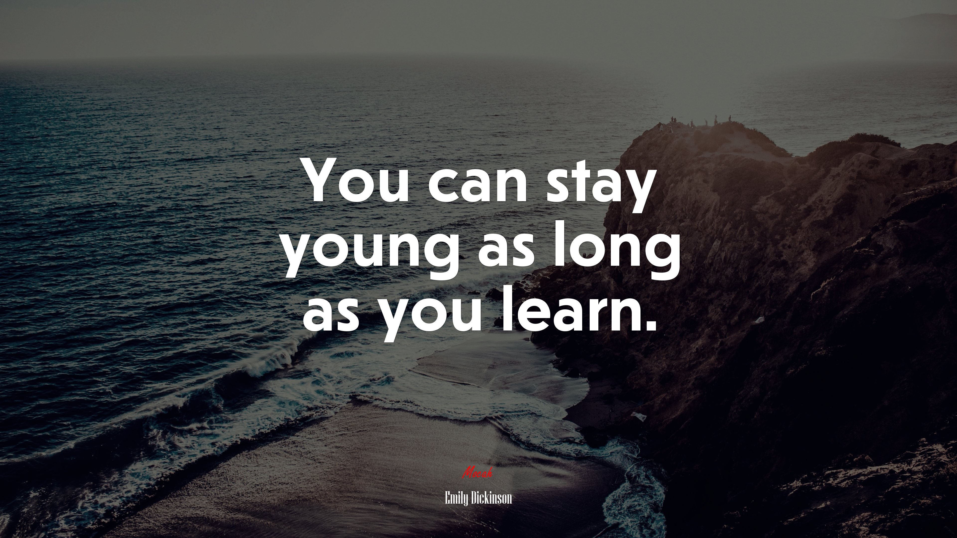 You can stay young as long as you learn. | Emily Dickinson quote HD Wallpaper