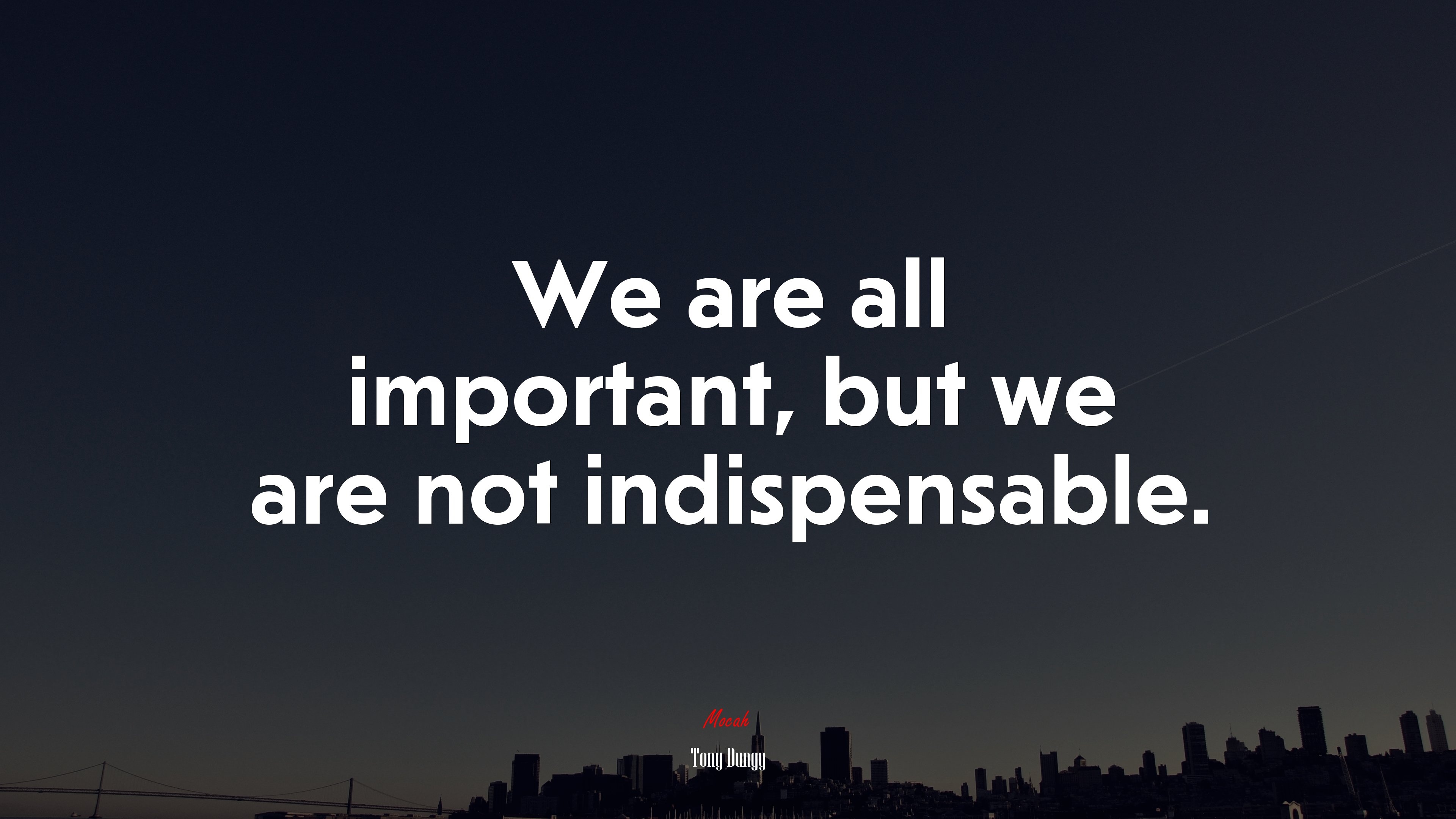 We are all important, but we are not indispensable. | Tony Dungy quote HD Wallpaper