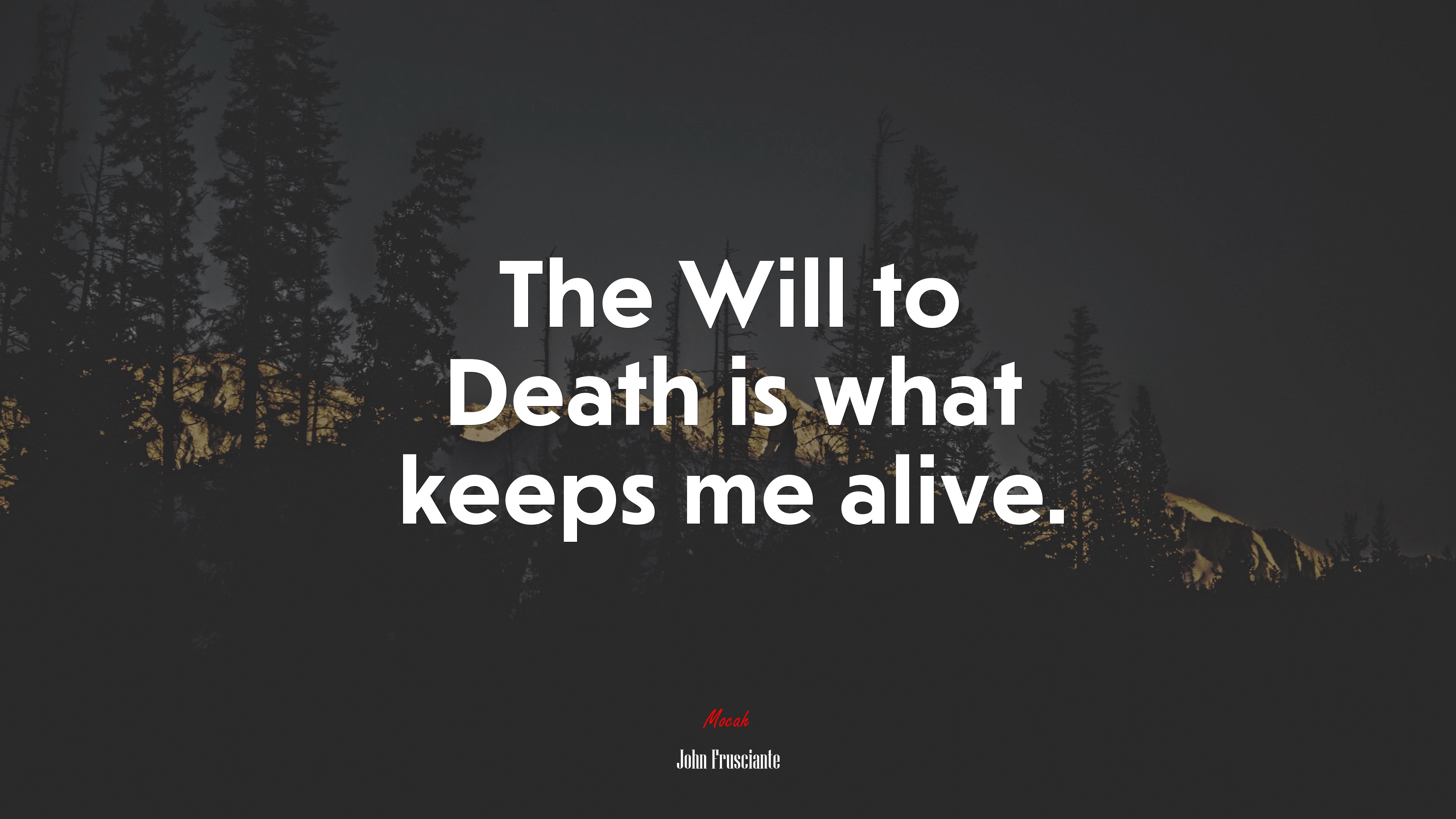 The Will to Death is what keeps me alive. | John Frusciante quote HD Wallpaper
