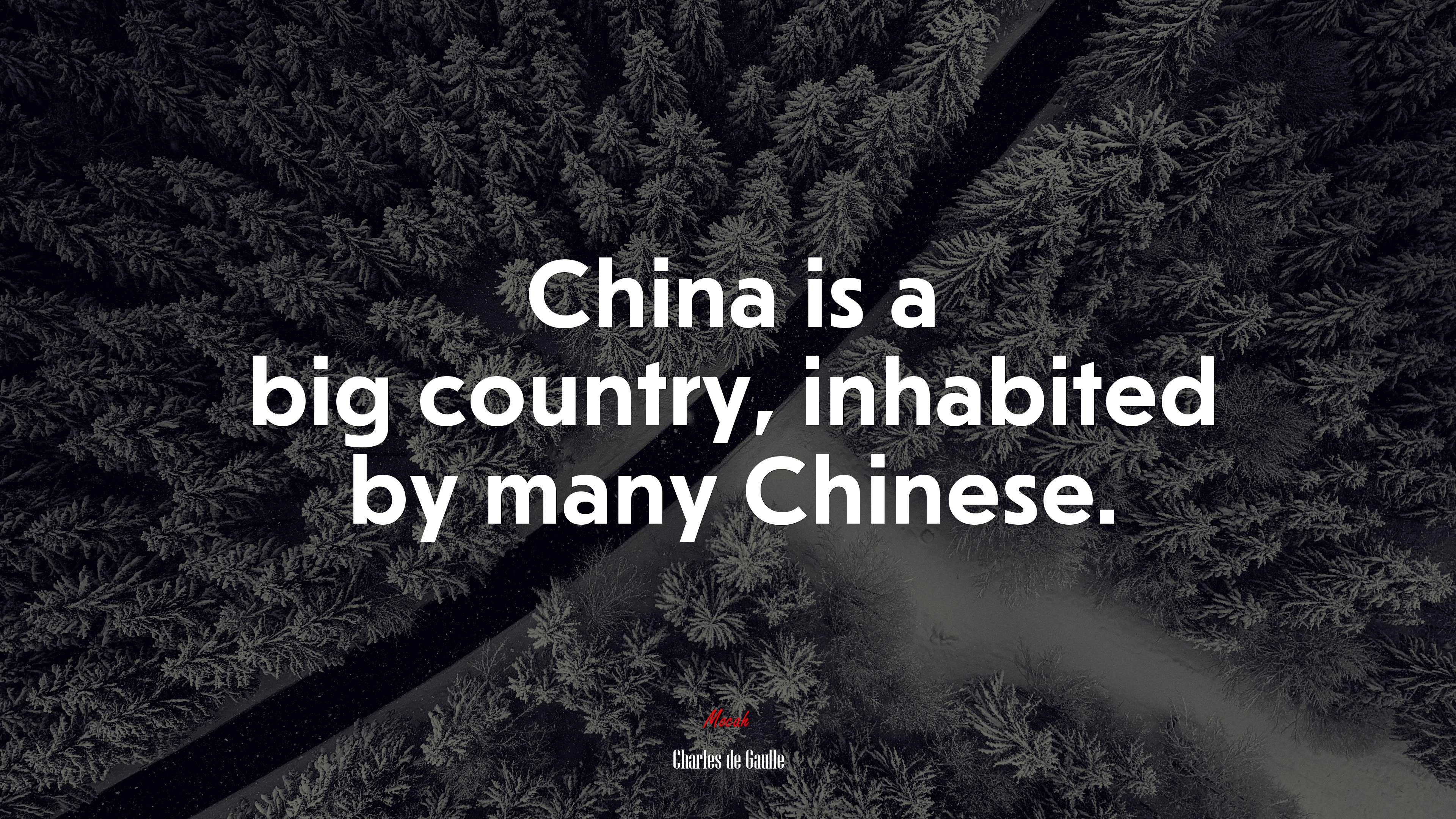 China is a big country, inhabited by many Chinese. | Charles de Gaulle quote HD Wallpaper