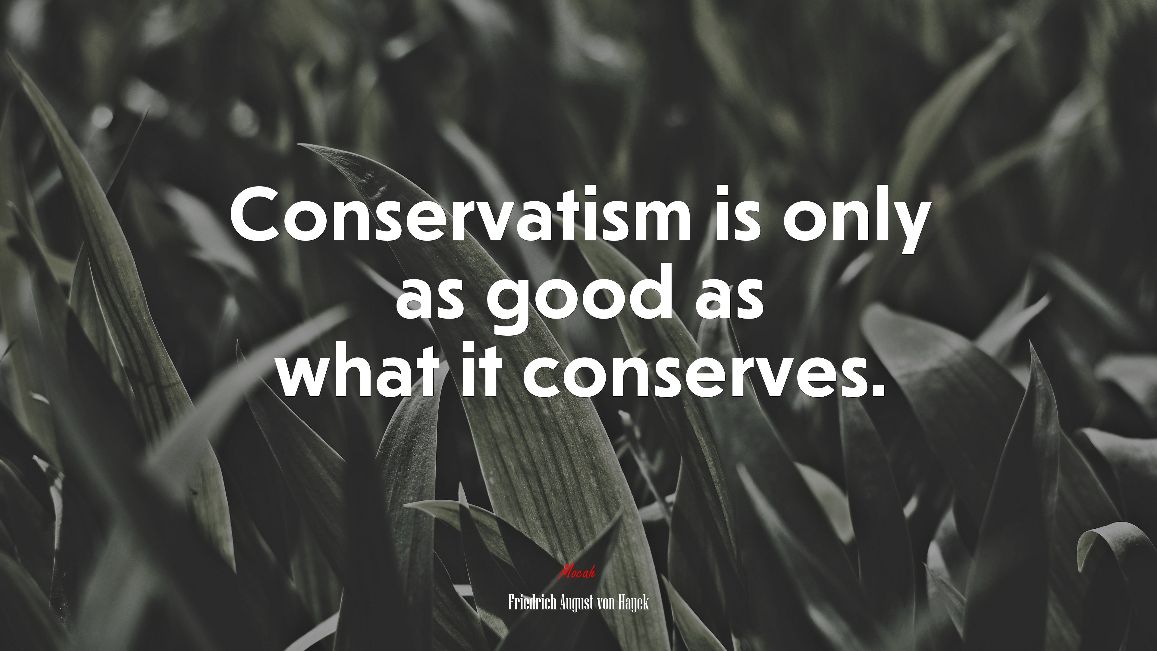 Conservatism is only as good as what it conserves. | Friedrich August von Hayek quote HD Wallpaper