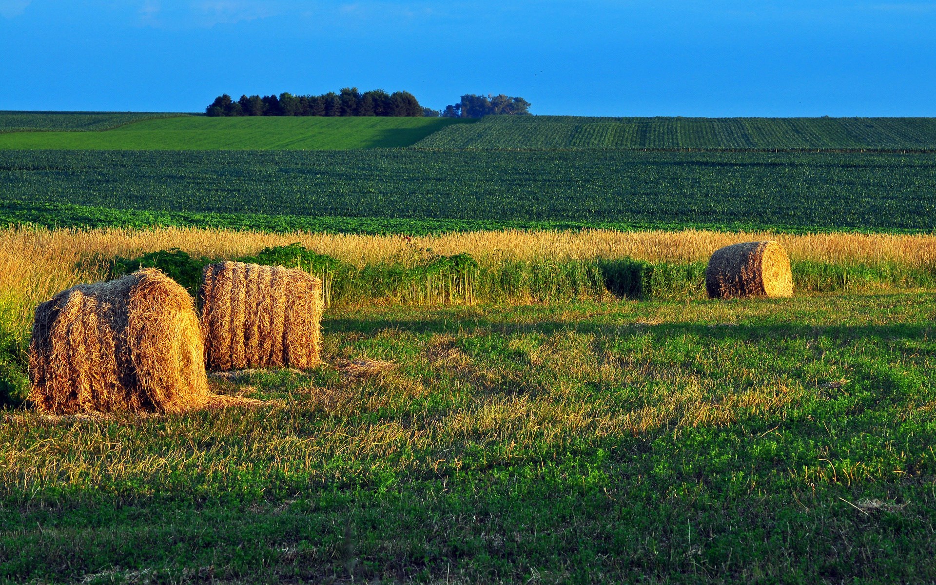 Hay bales in a field at sunset HD Wallpaper