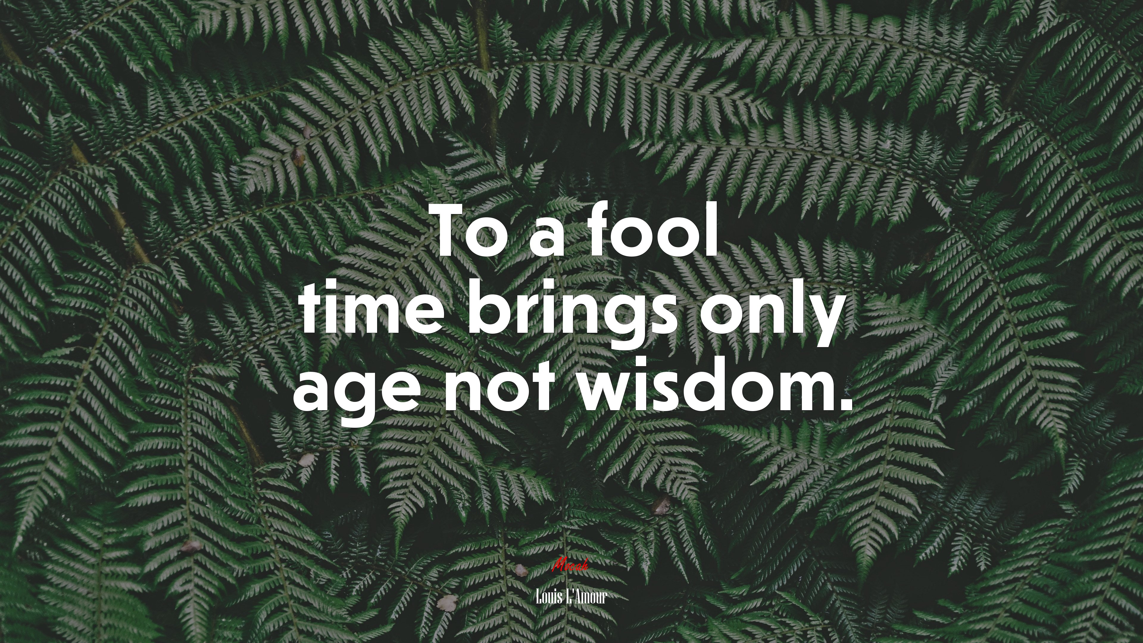 To a fool time brings only age not wisdom. | Louis LAmour quote HD Wallpaper