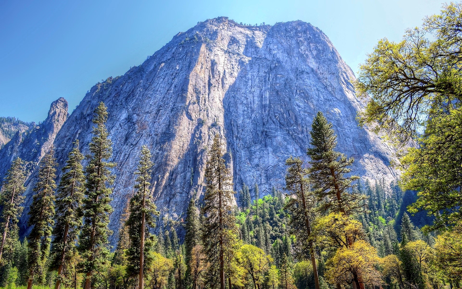 El Capitan in Yosemite National Park HD Wallpaper