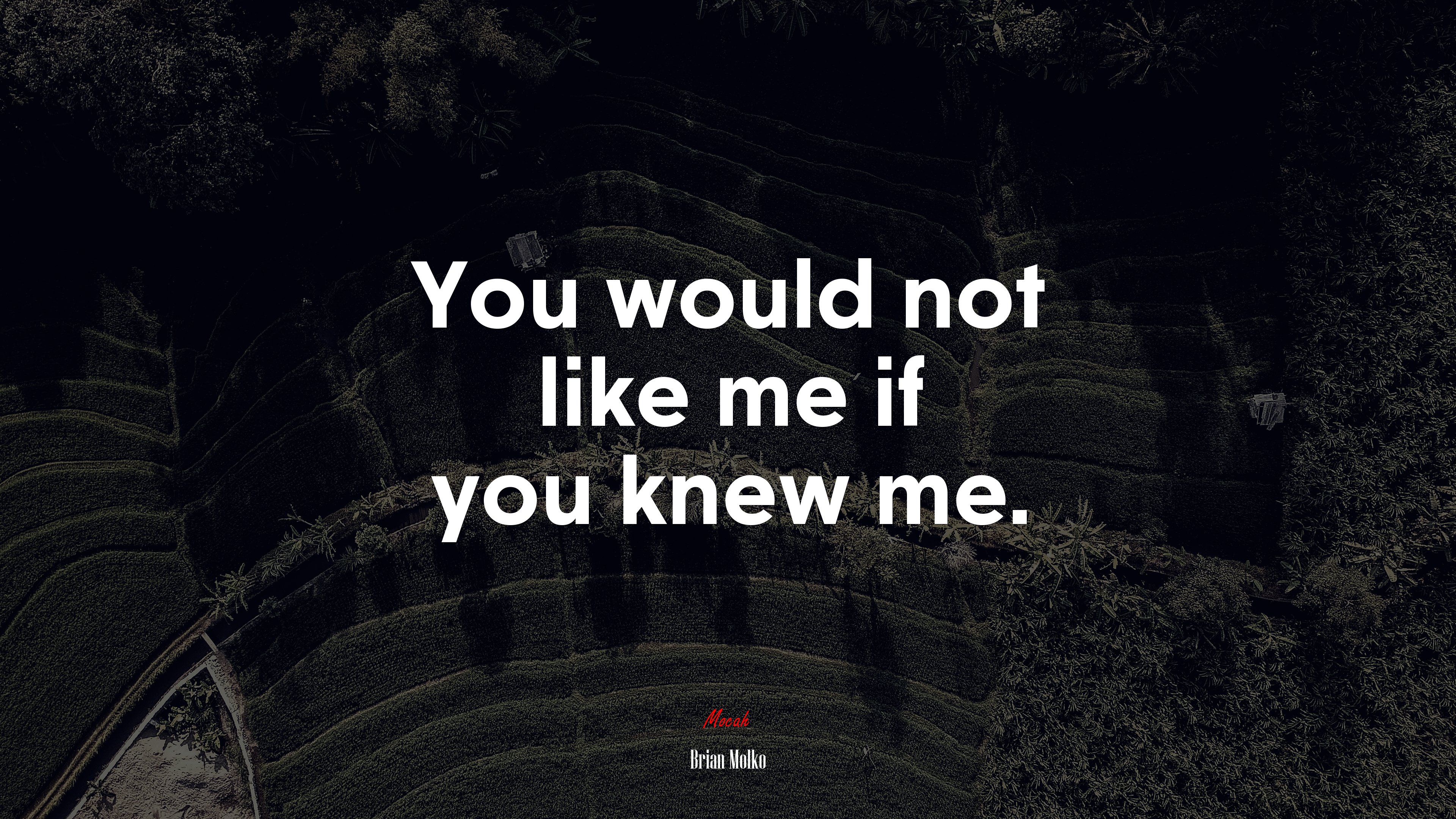 You would not like me if you knew me. | Brian Molko quote HD Wallpaper