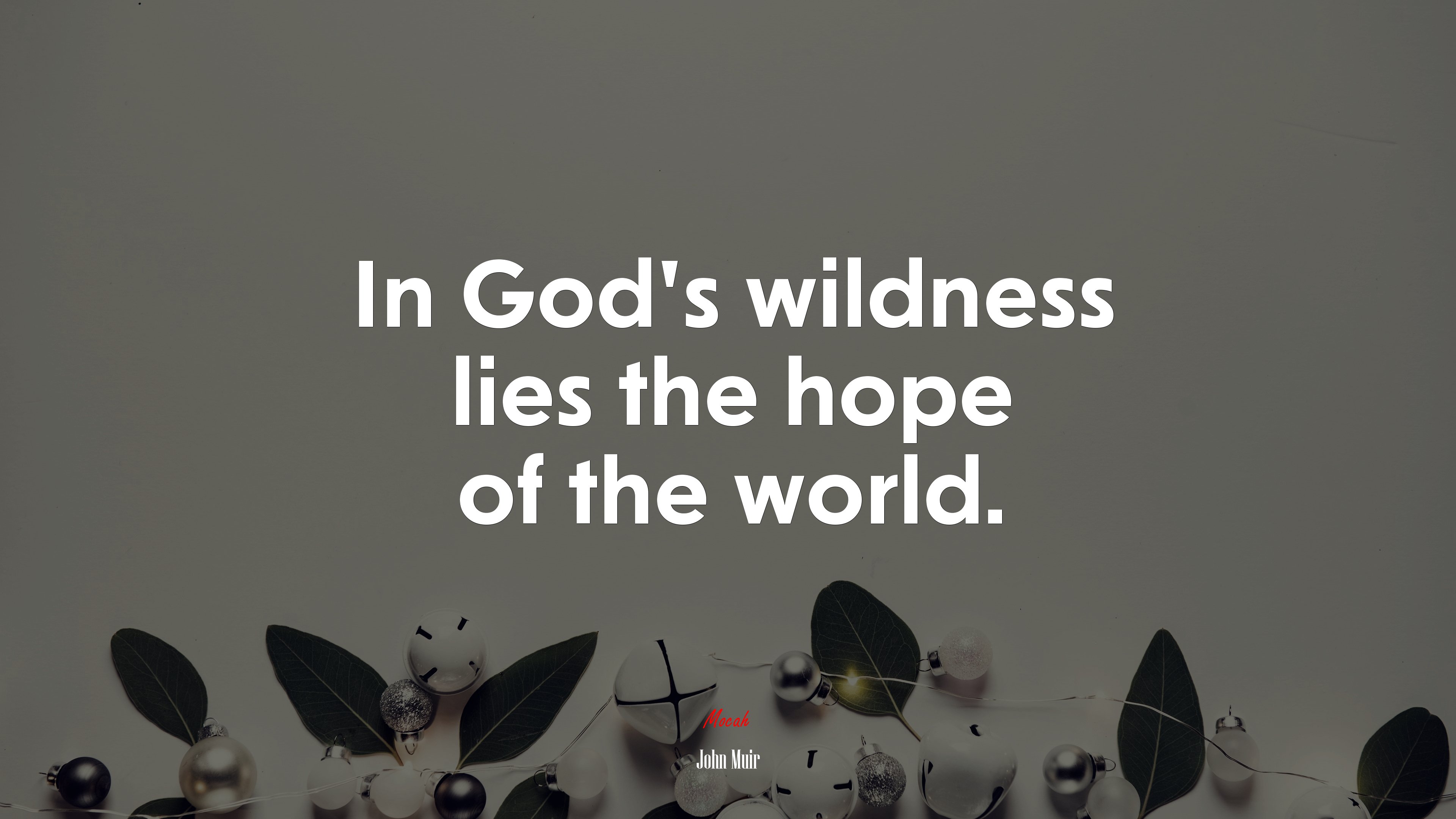 In God’s wildness lies the hope of the world. | John Muir quote HD Wallpaper