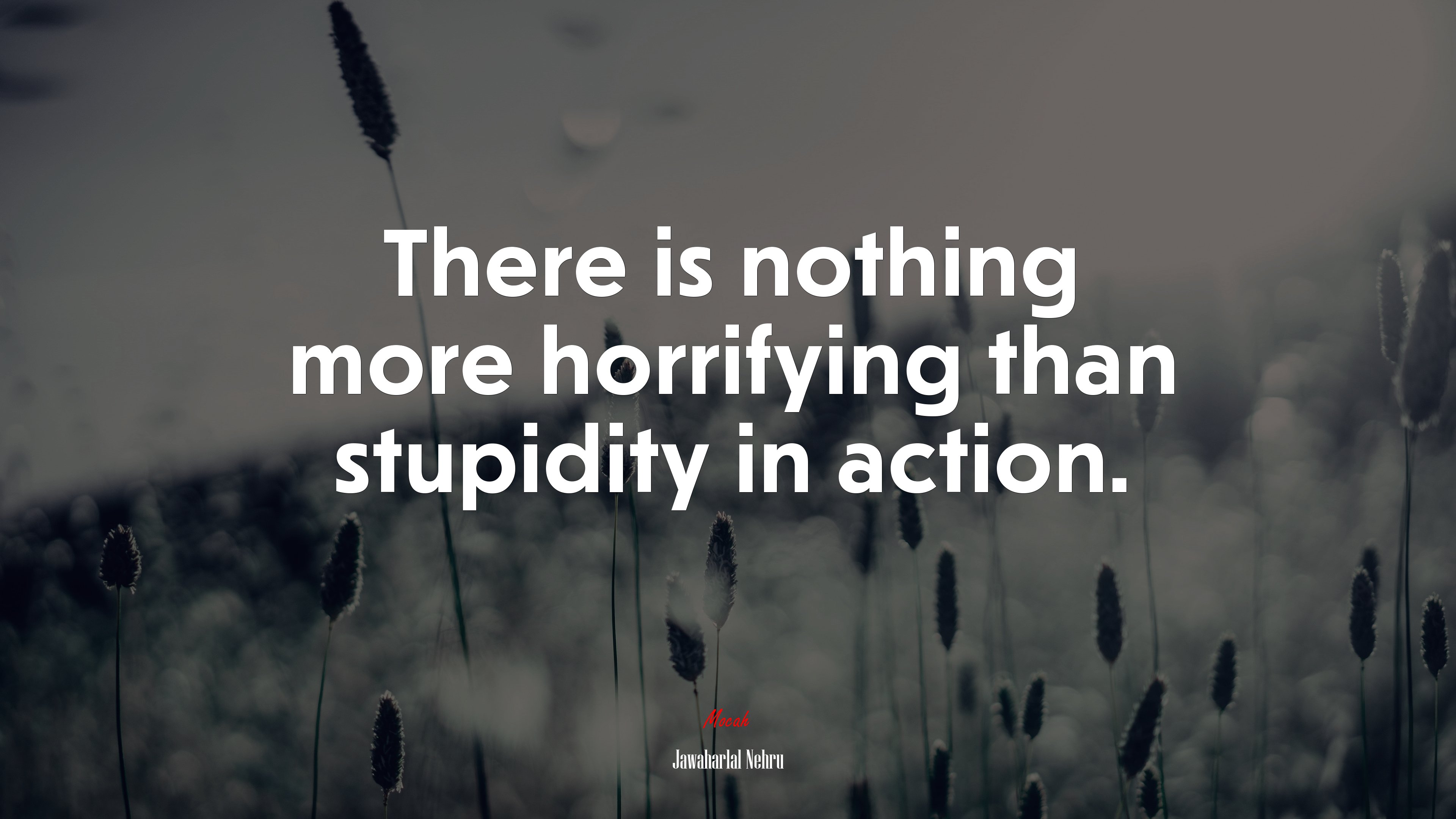 There is nothing more horrifying than stupidity in action. | Jawaharlal Nehru quote HD Wallpaper