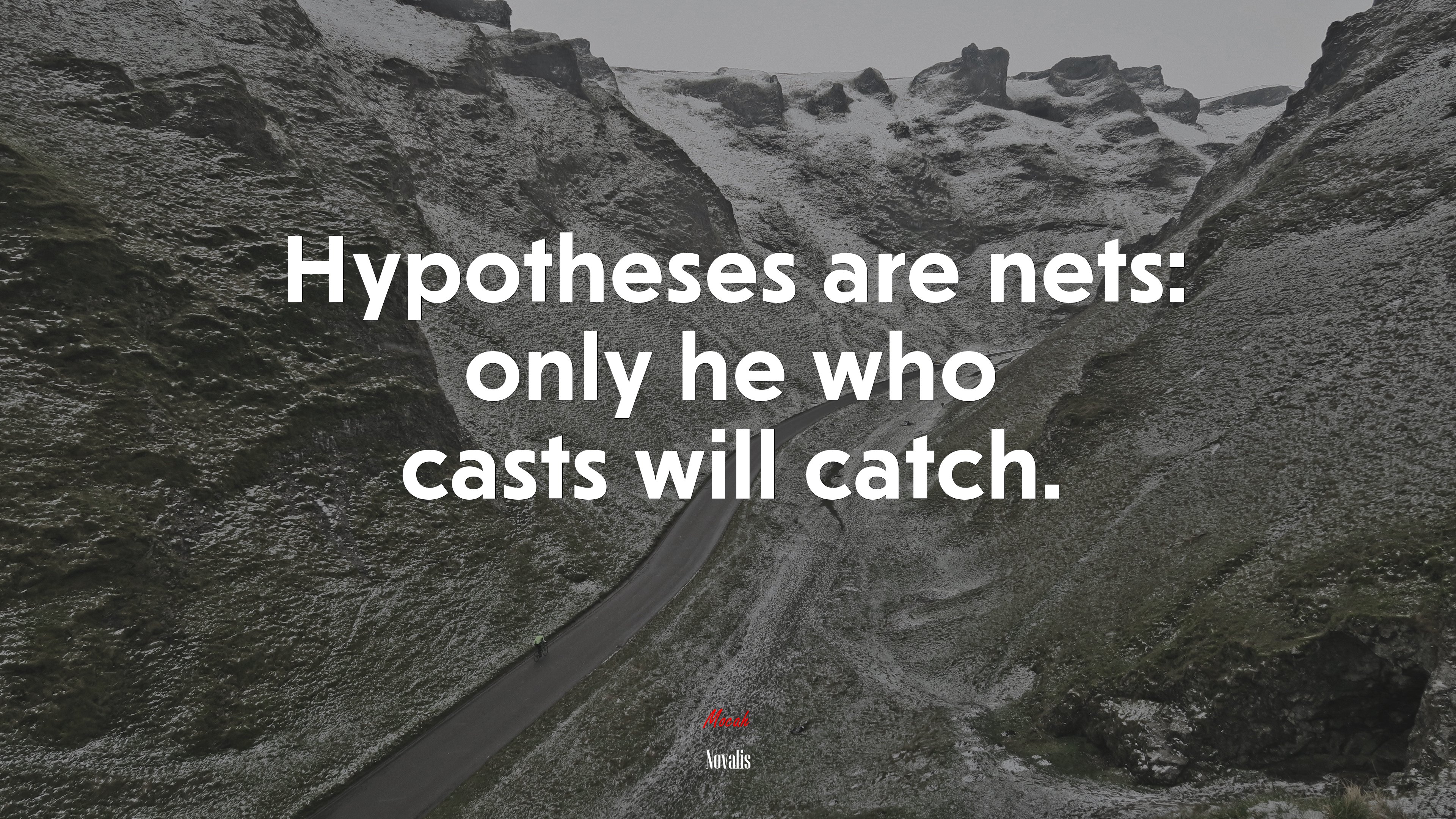 Hypotheses are nets: only he who casts will catch. | Novalis quote HD Wallpaper
