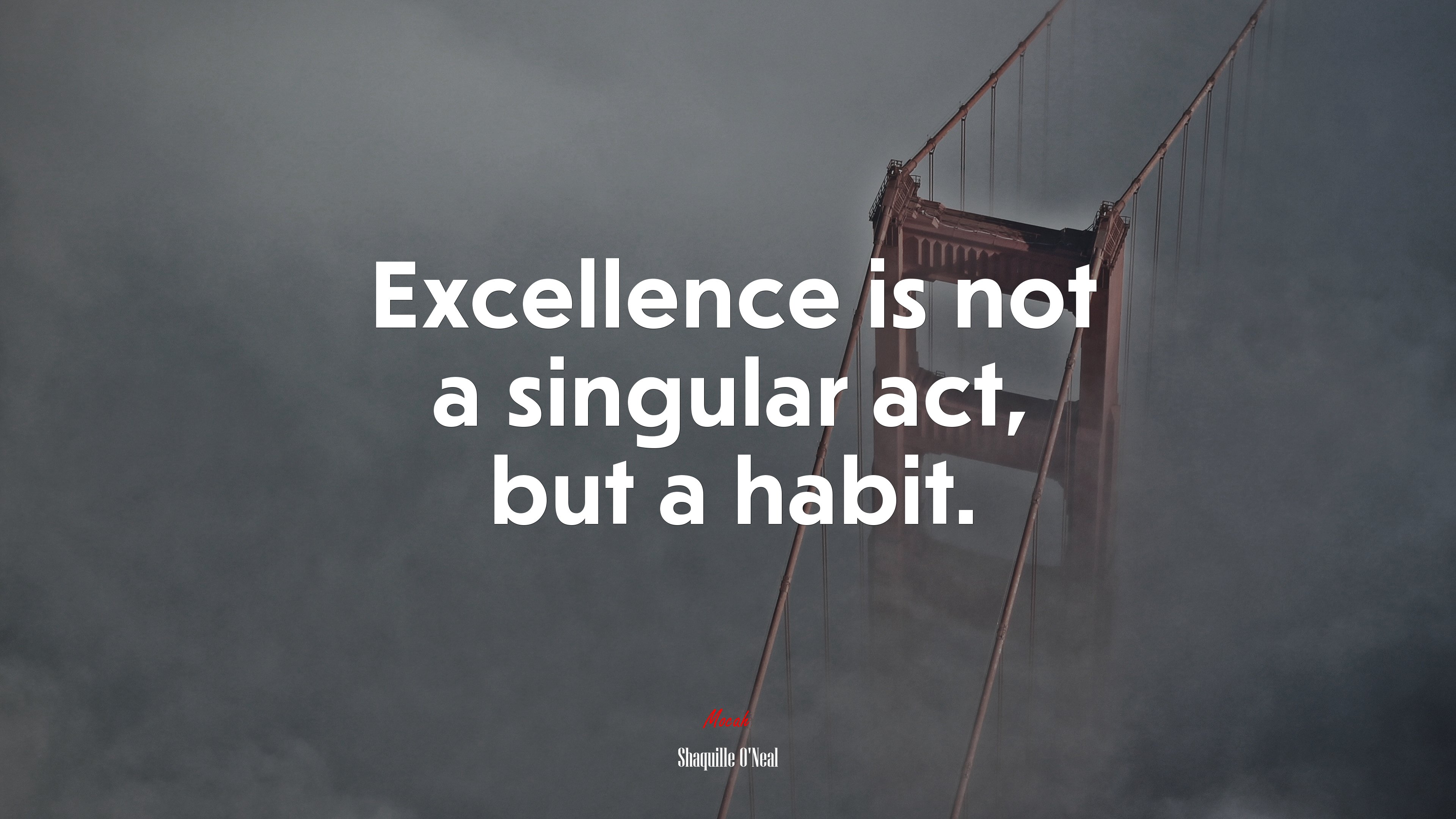 Excellence is not a singular act, but a habit. | Shaquille ONeal quote HD Wallpaper