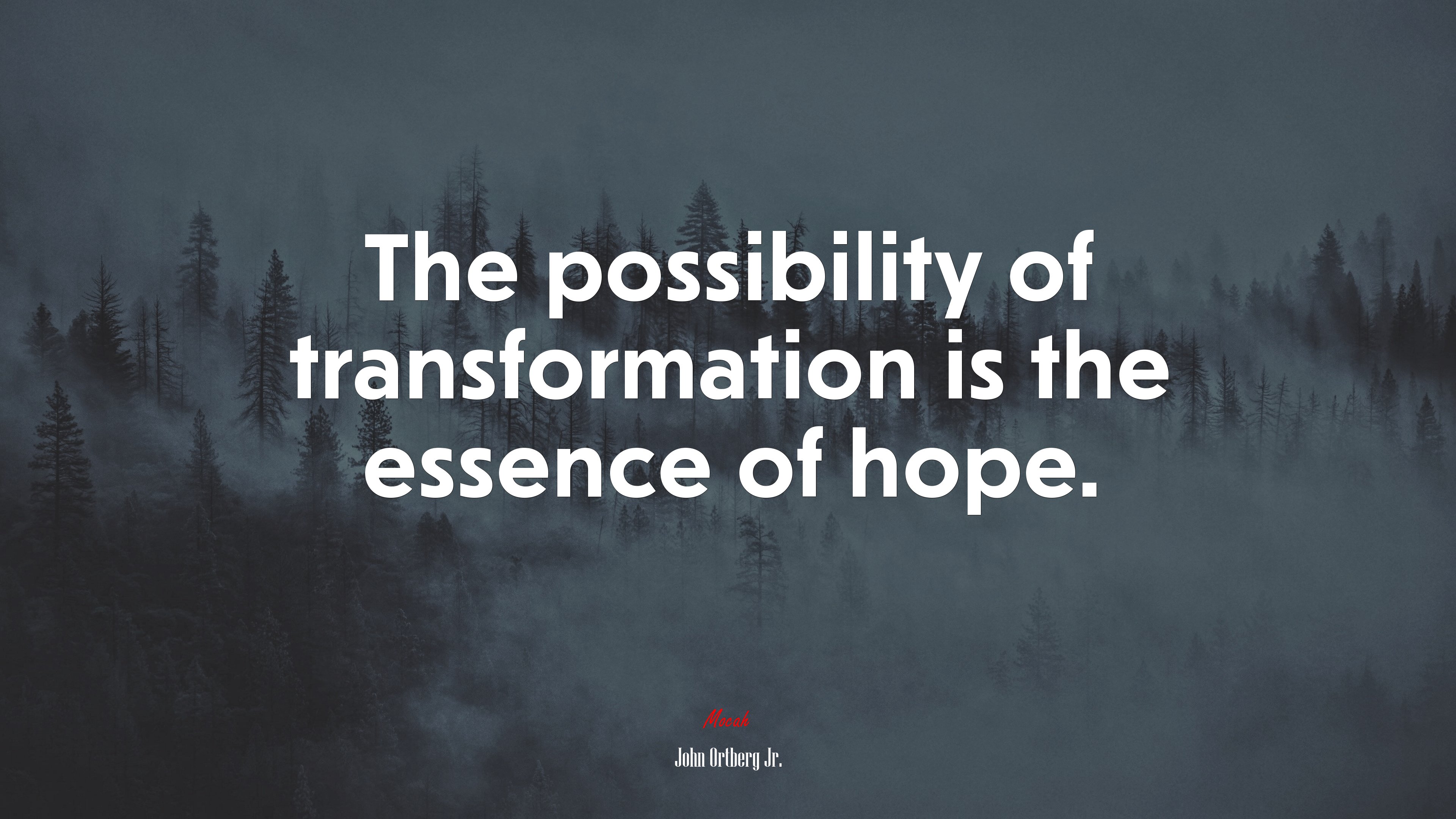 The possibility of transformation is the essence of hope. | John Ortberg Jr. quote HD Wallpaper