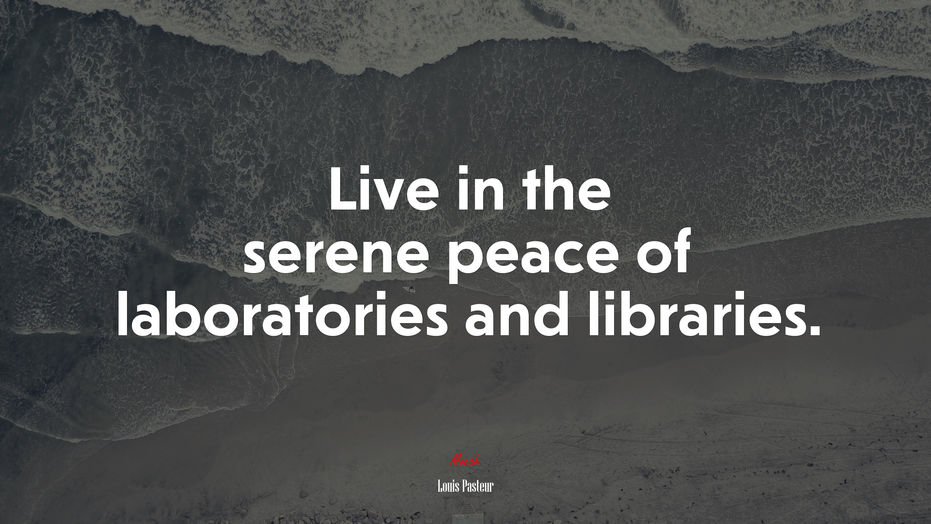 Live in the serene peace of laboratories and libraries. | Louis Pasteur quote HD Wallpaper