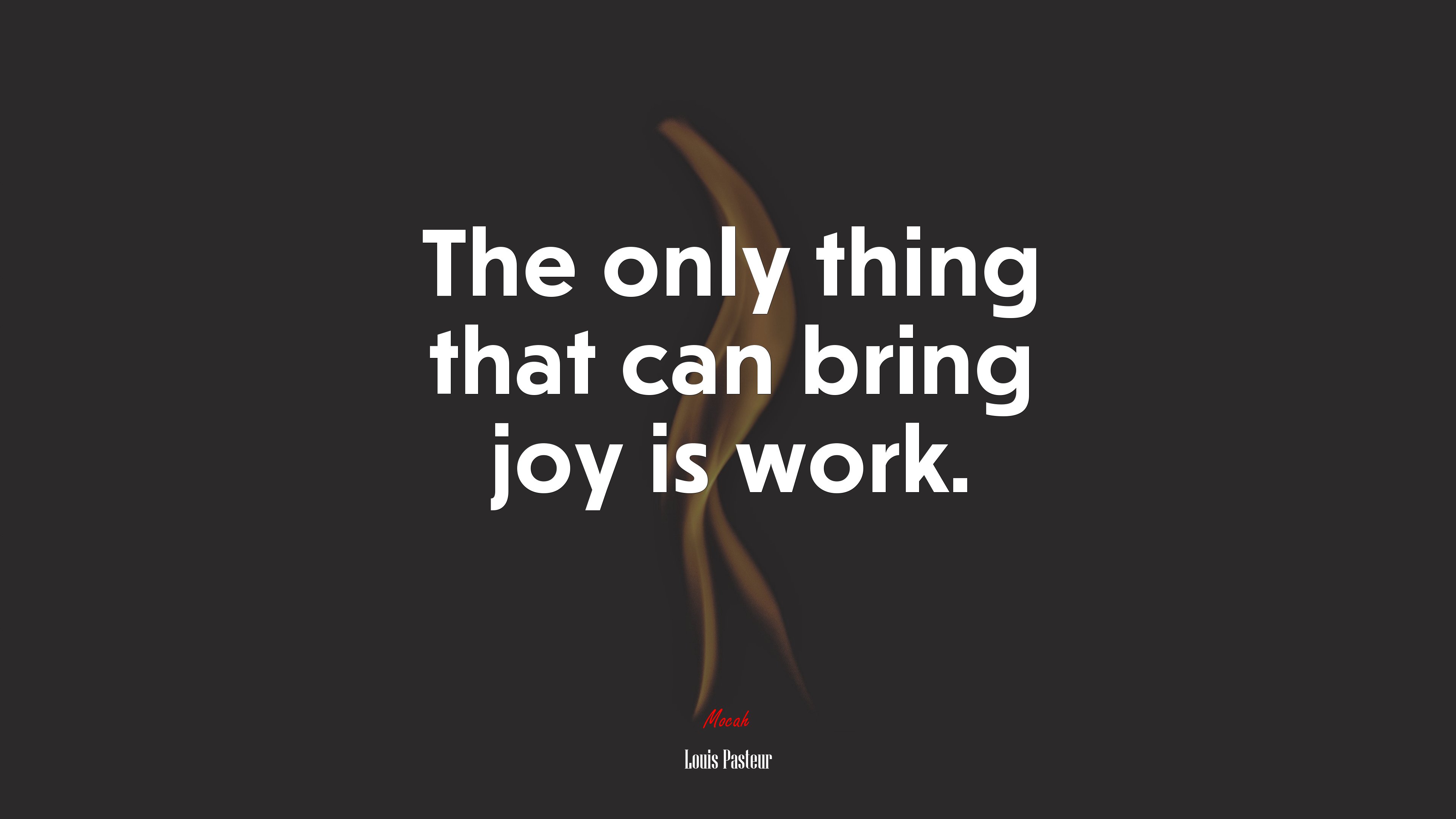 The only thing that can bring joy is work. | Louis Pasteur quote HD Wallpaper