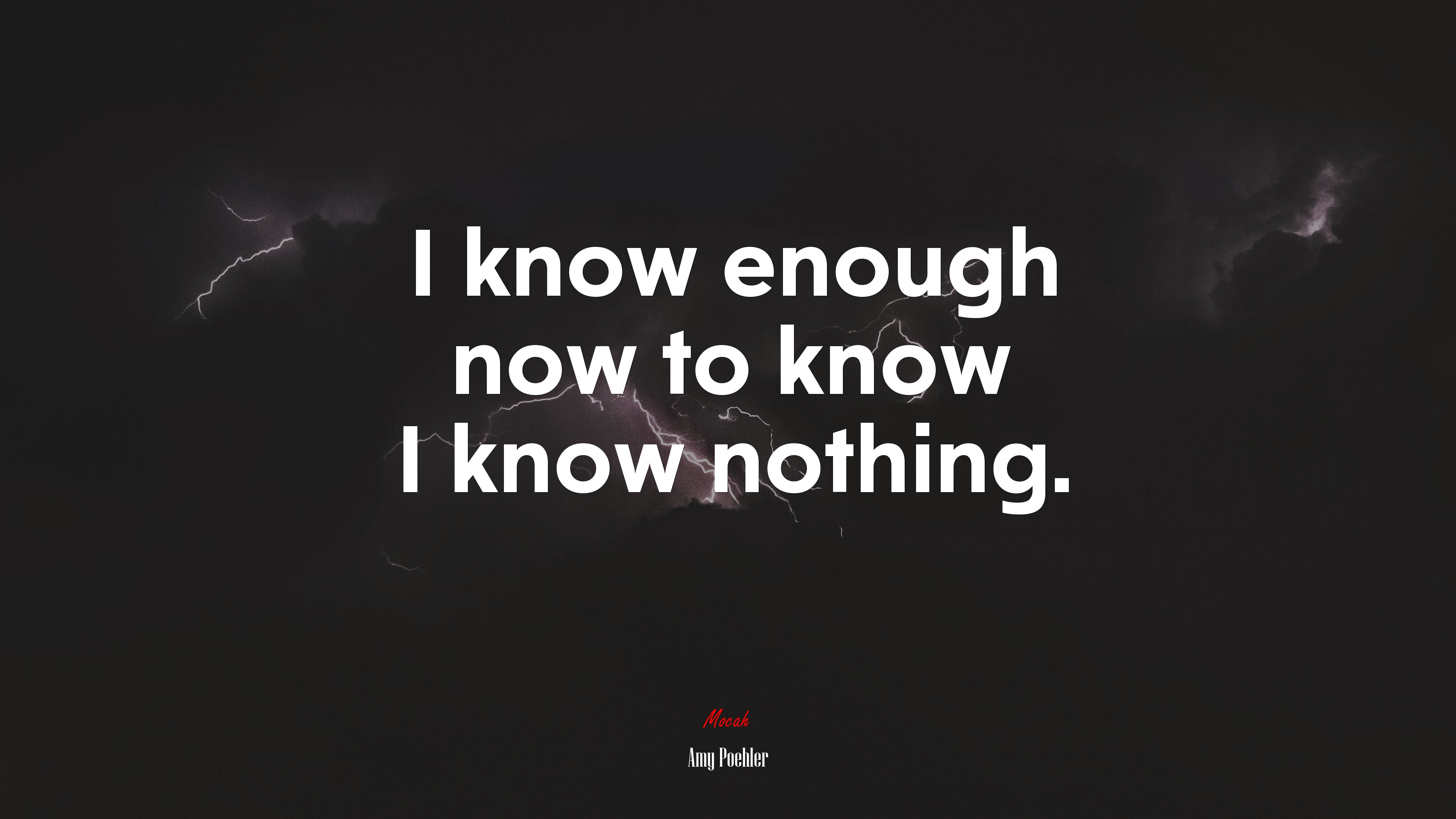 I know enough now to know I know nothing. | Amy Poehler quote HD Wallpaper
