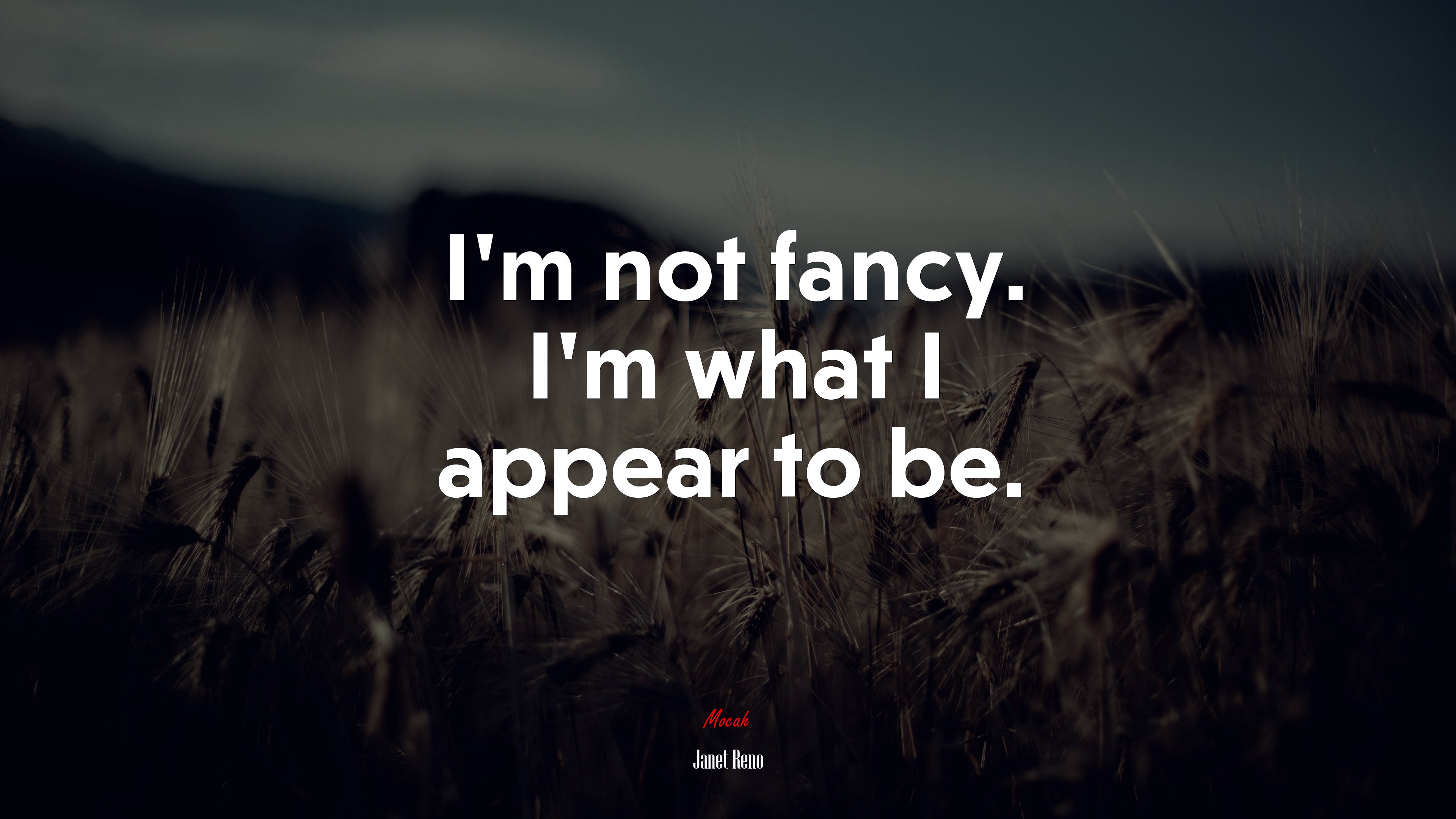 I’m not fancy. I’m what I appear to be. | Janet Reno quote HD Wallpaper