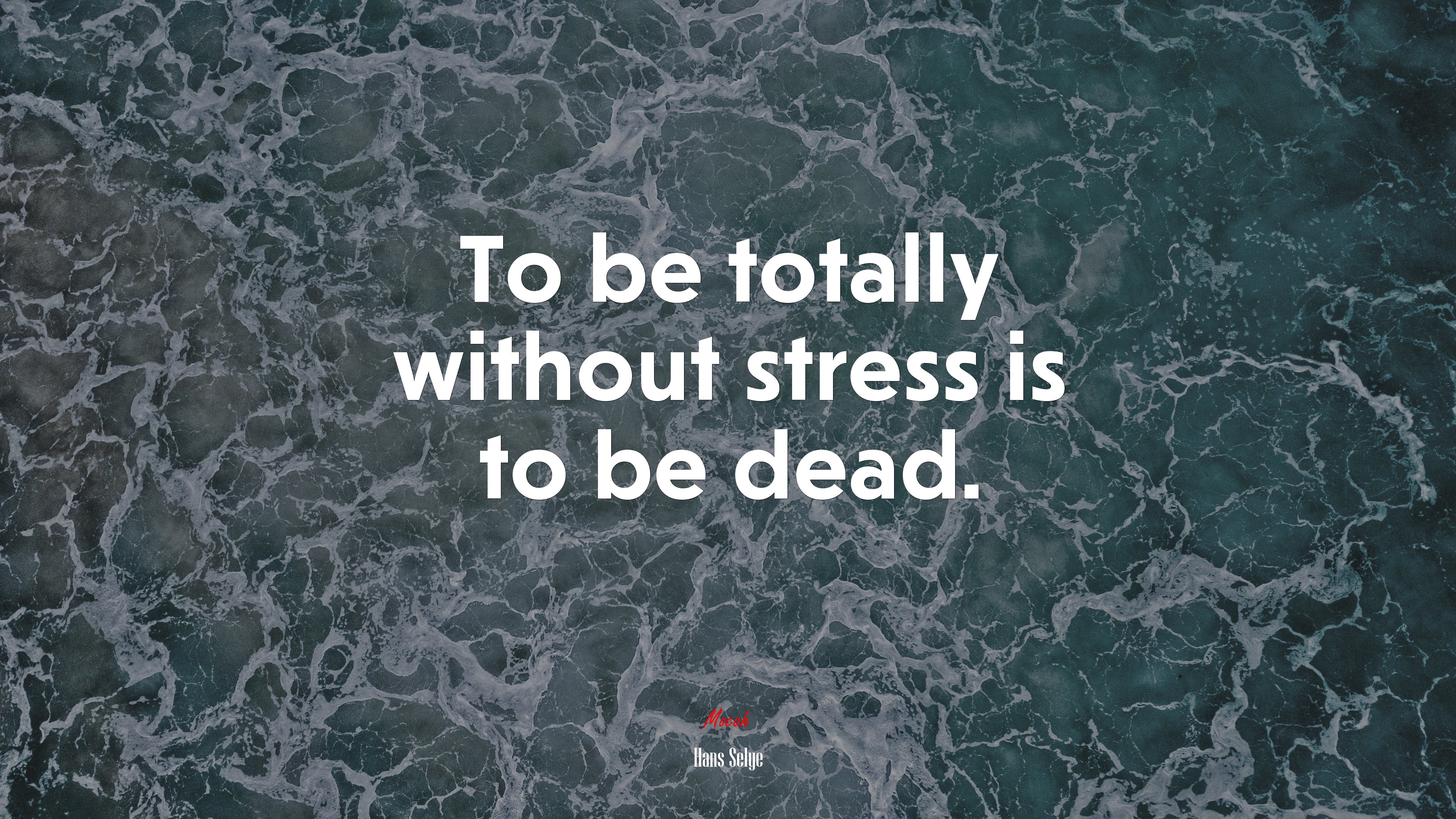 To be totally without stress is to be dead. | Hans Selye quote HD Wallpaper