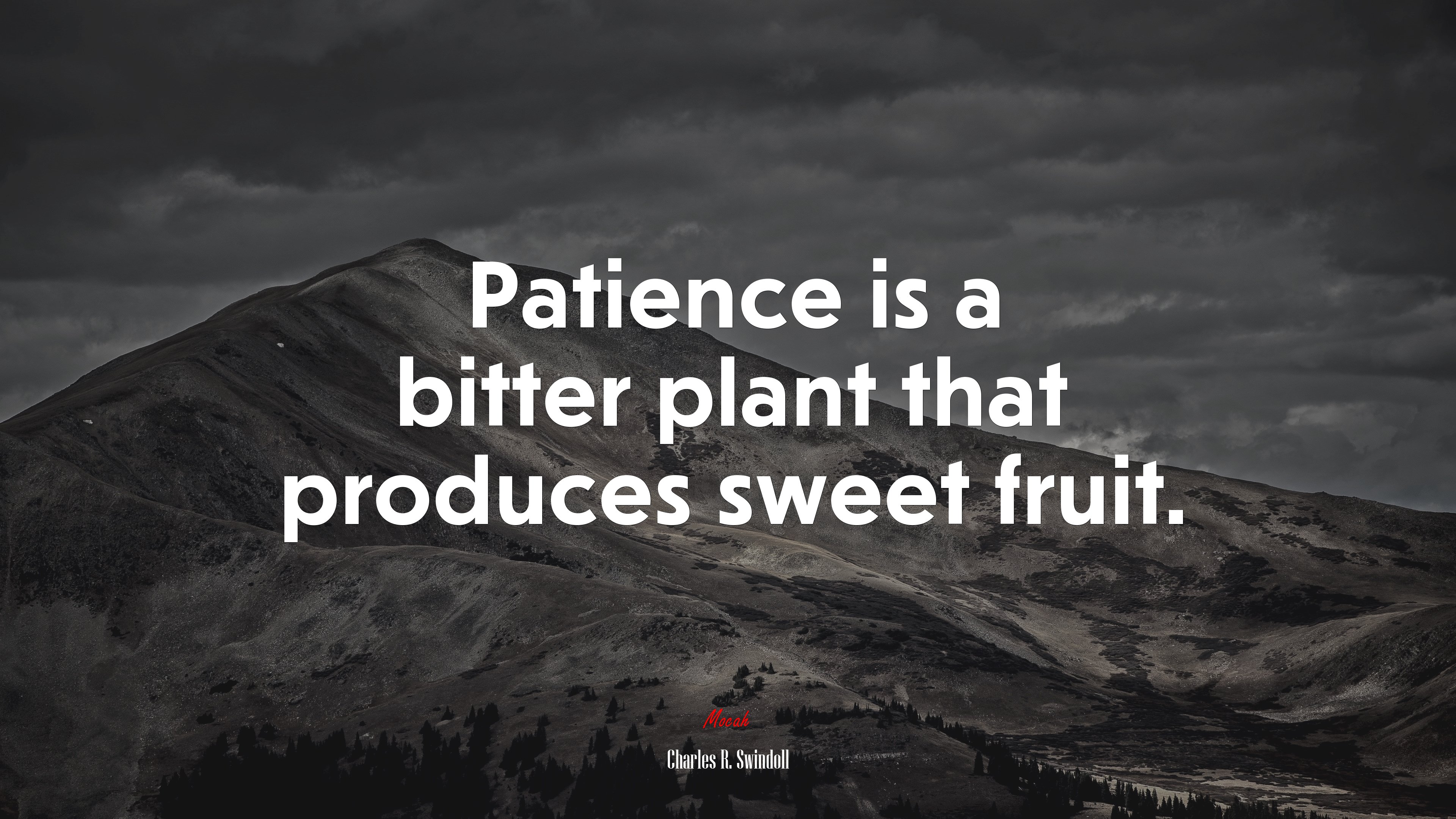 Patience is a bitter plant that produces sweet fruit. | Charles R. Swindoll quote HD Wallpaper