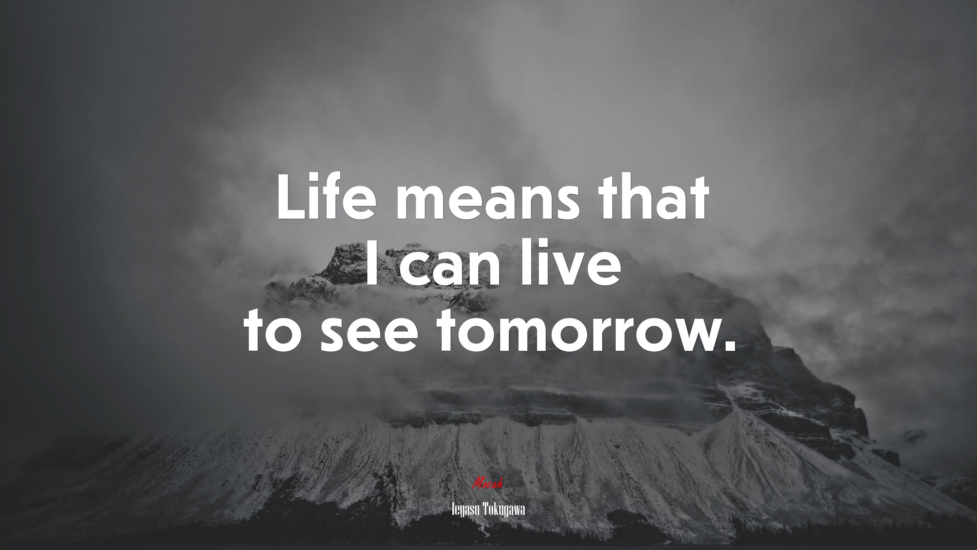 Life means that I can live to see tomorrow. | Ieyasu Tokugawa quote HD Wallpaper