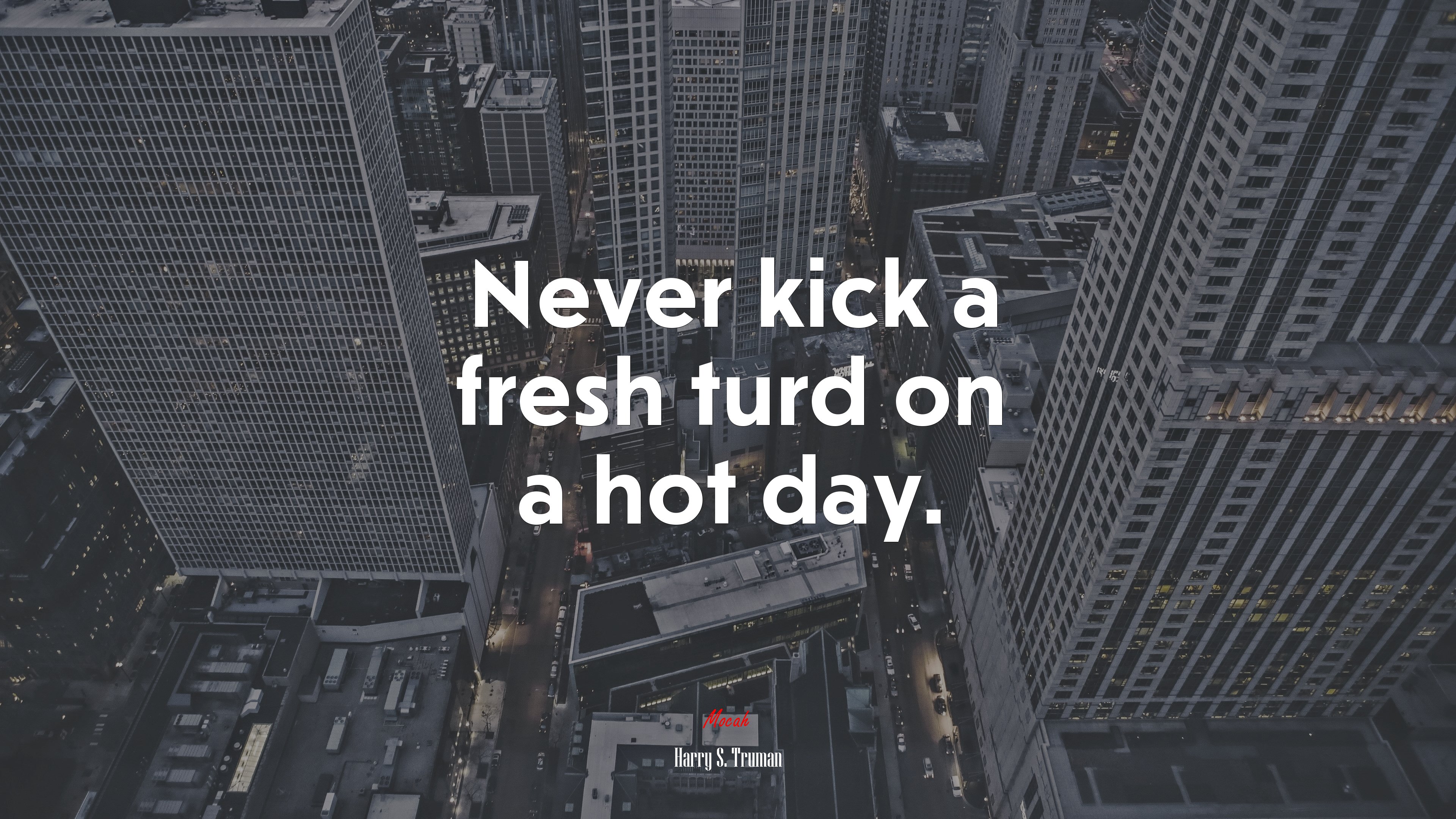 Never kick a fresh turd on a hot day. | Harry S. Truman quote HD Wallpaper