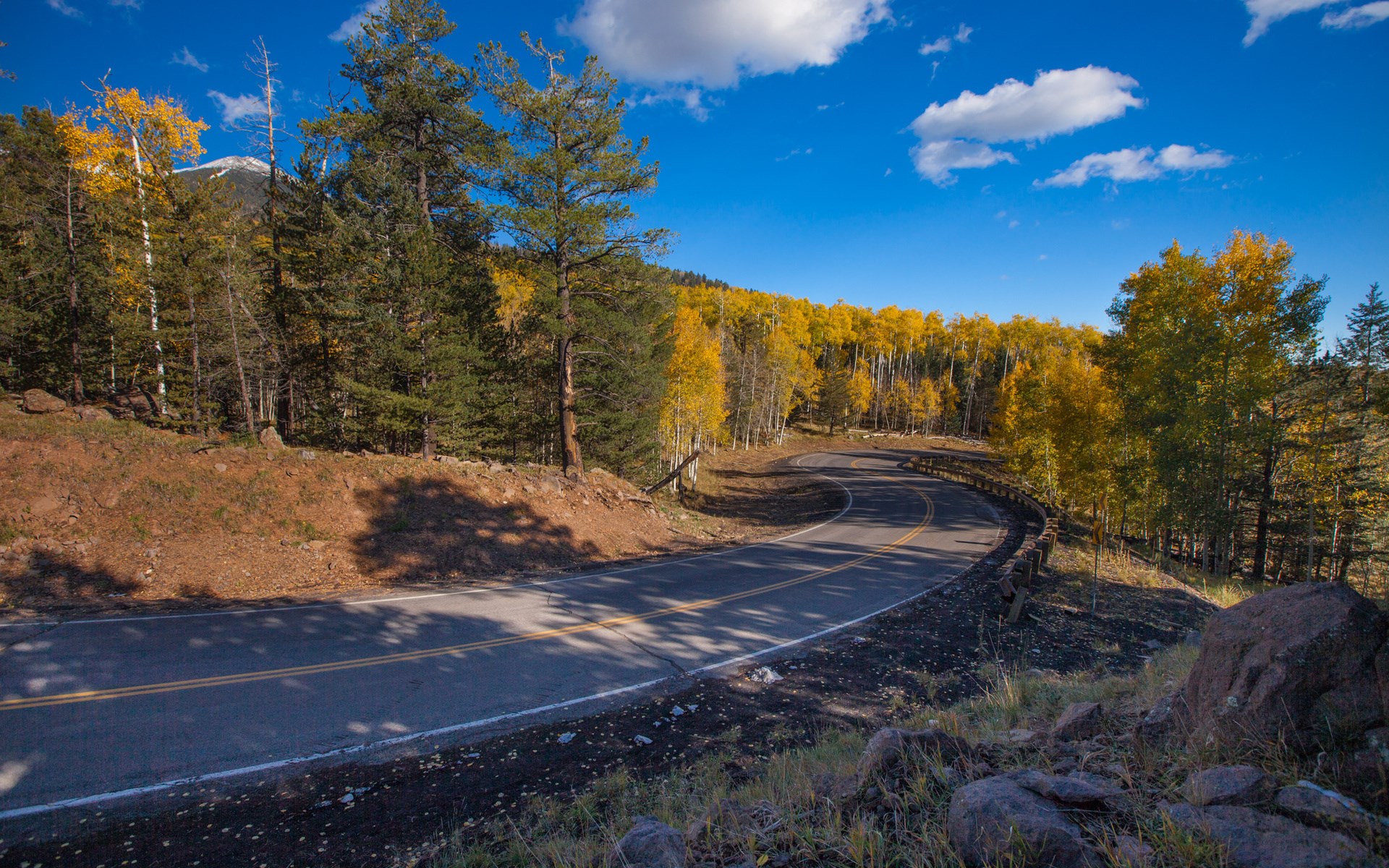 Winding mountain road through autumn forest HD Wallpaper