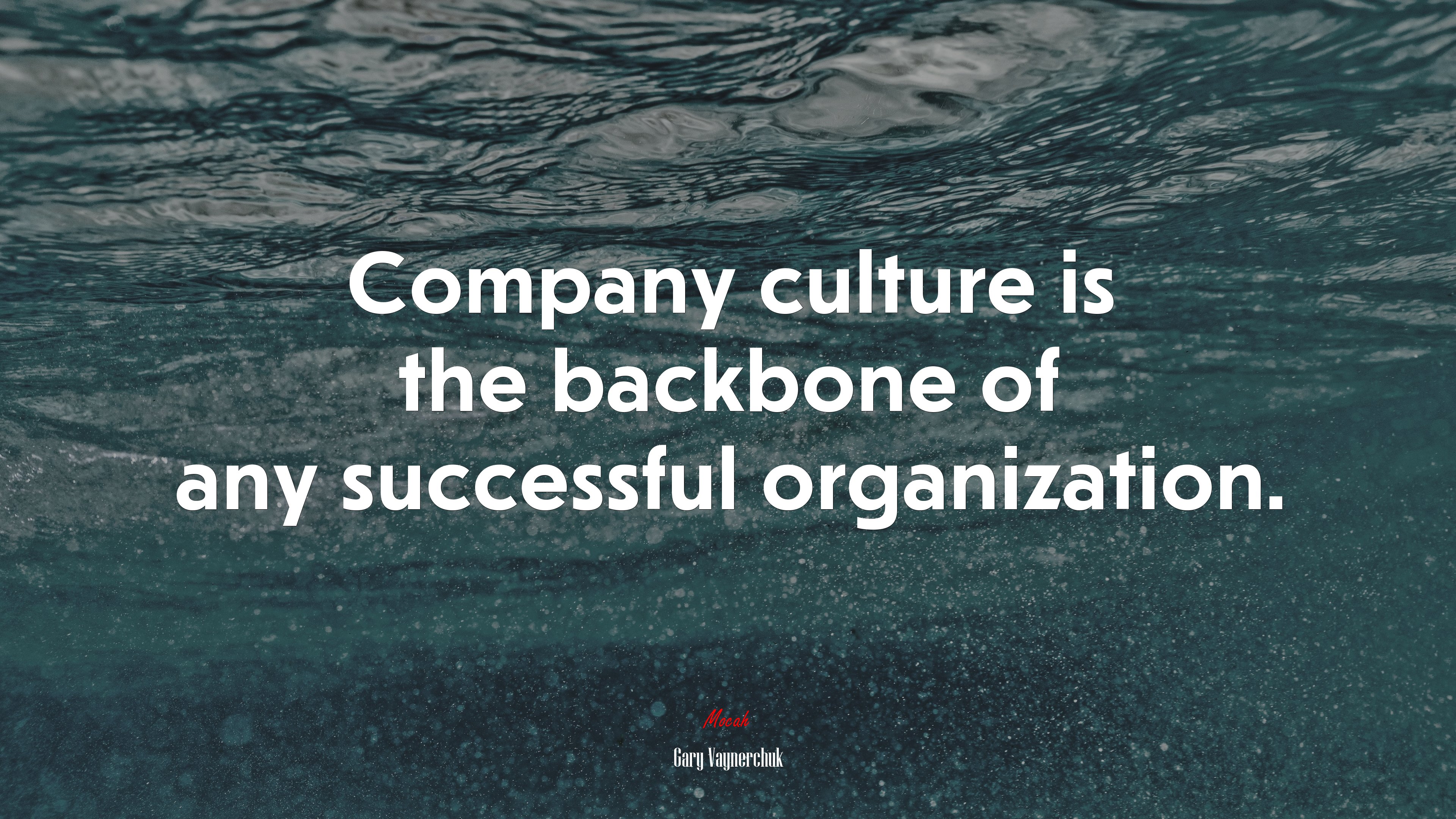 Company culture is the backbone of any successful organization. | Gary Vaynerchuk quote HD Wallpaper