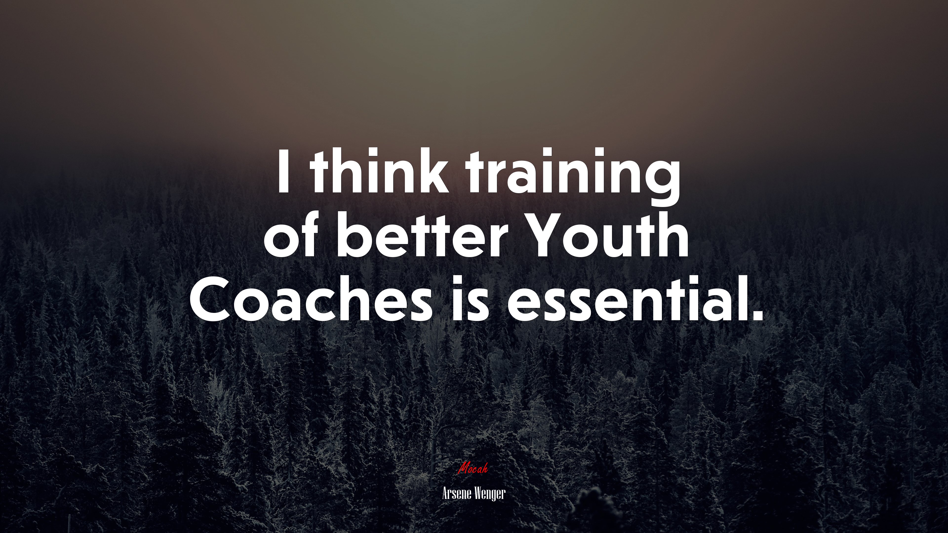 I think training of better Youth Coaches is essential. | Arsene Wenger quote HD Wallpaper
