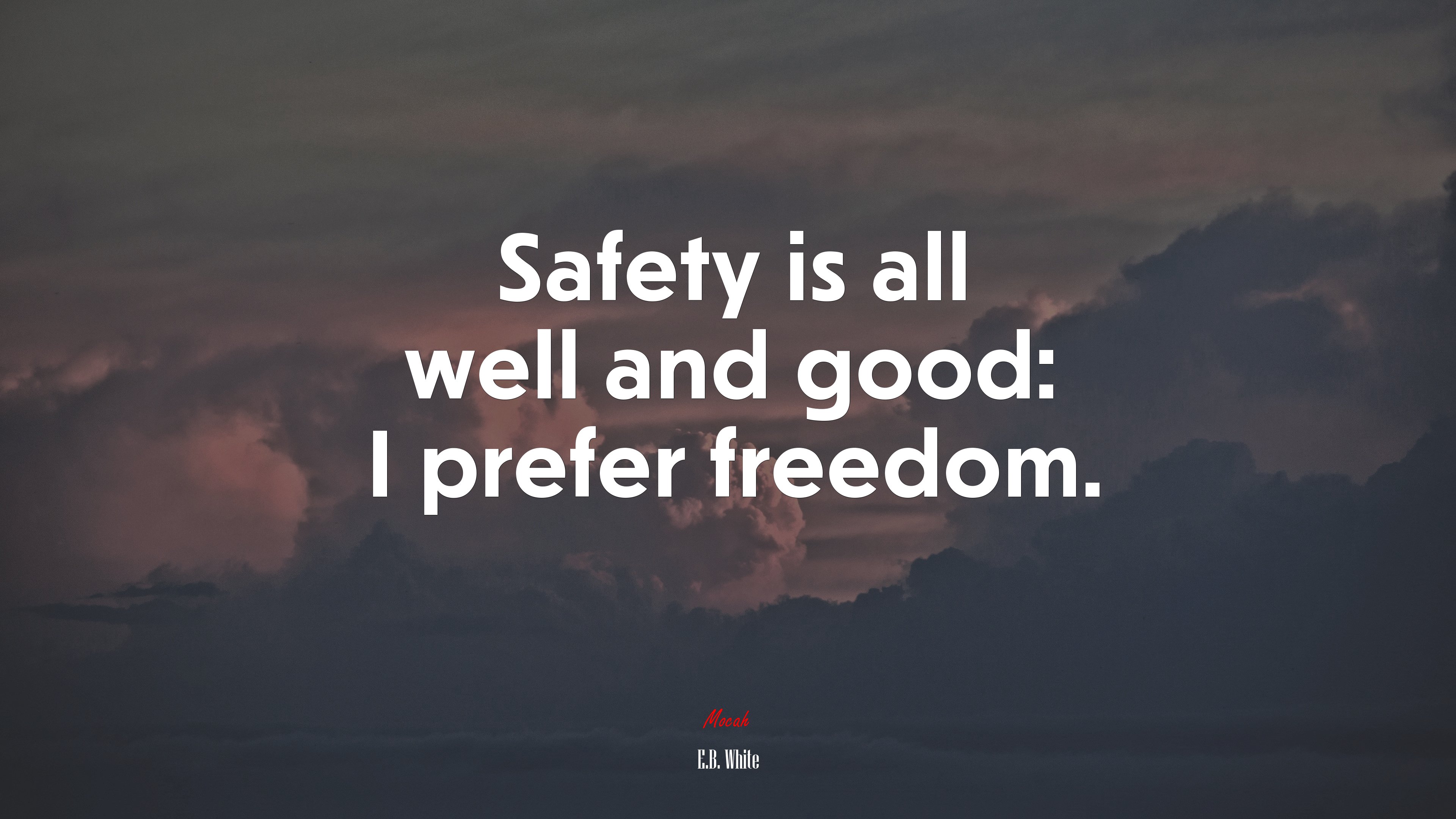 Safety is all well and good: I prefer freedom. | E.B. White quote HD Wallpaper
