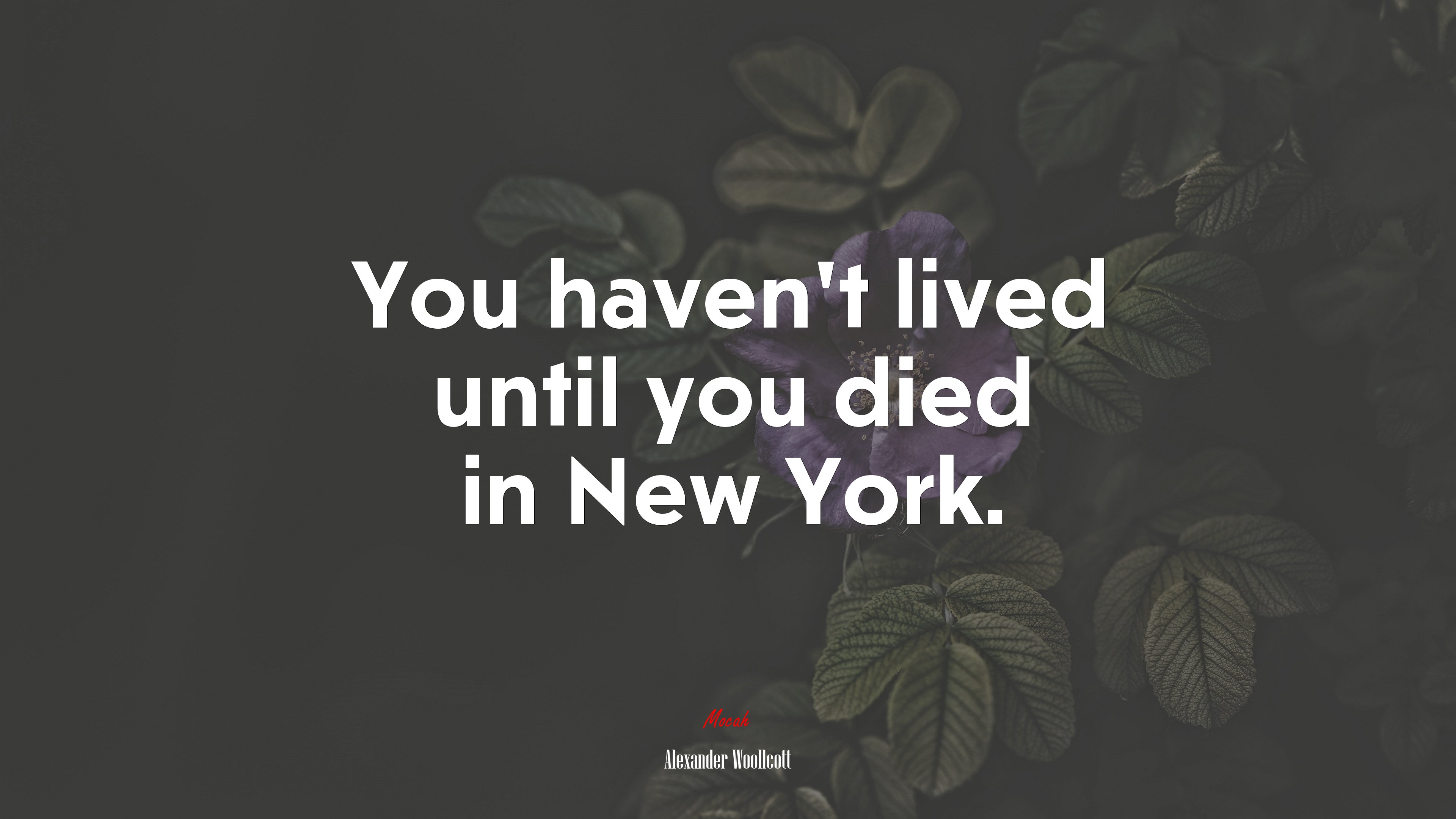 You haven’t lived until you died in New York. | Alexander Woollcott quote HD Wallpaper