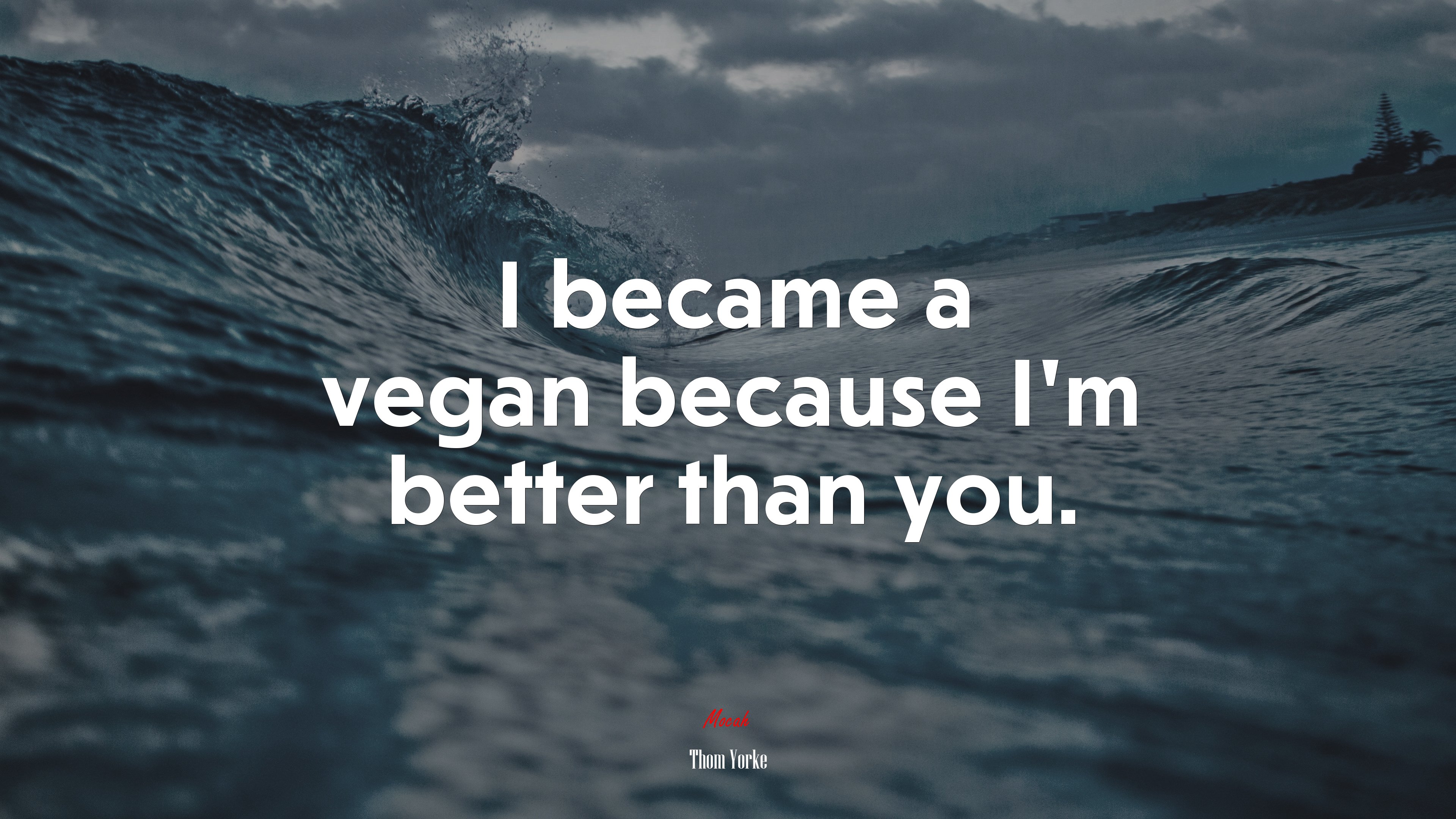 I became a vegan because I’m better than you. | Thom Yorke quote HD Wallpaper