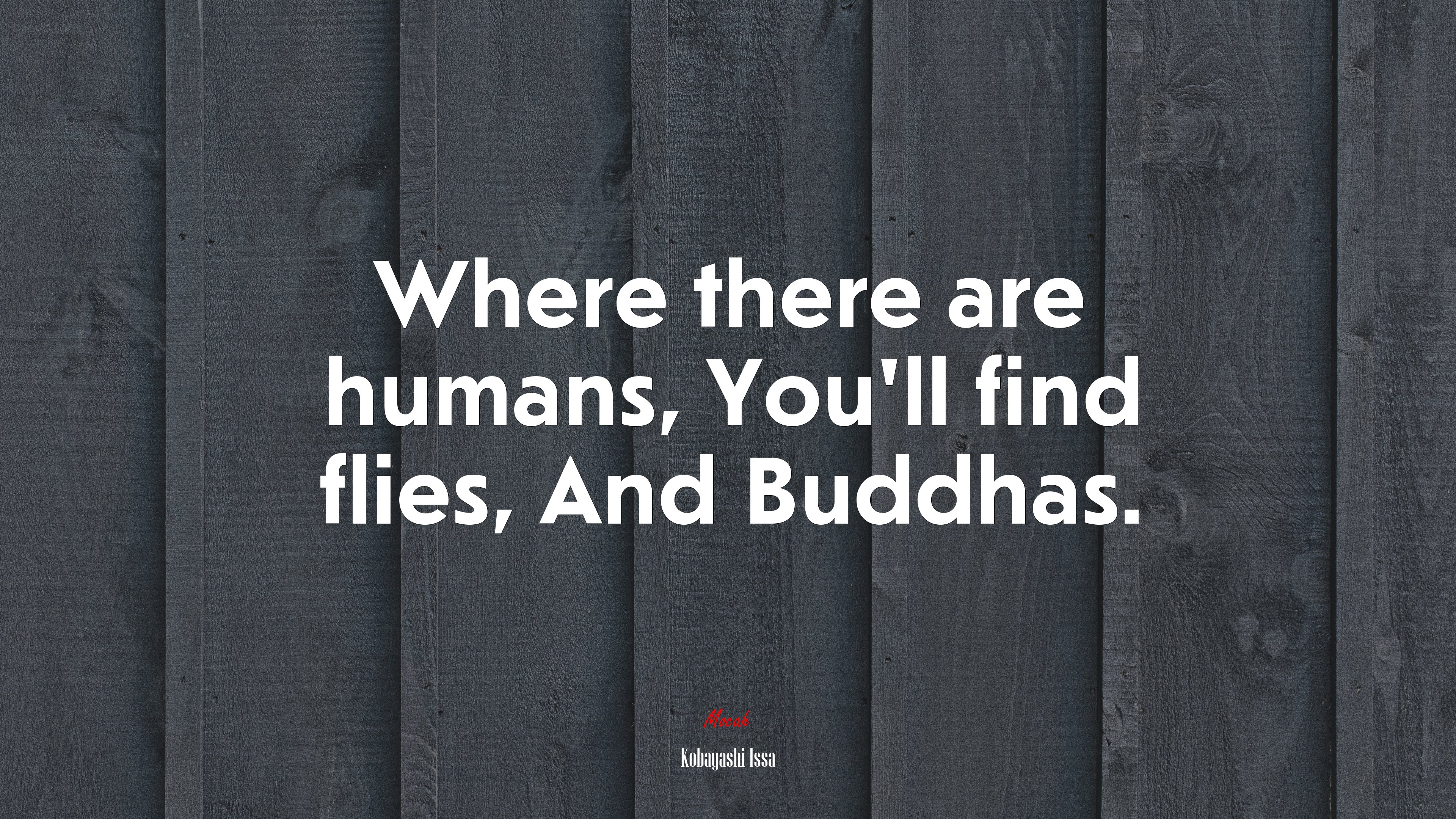 Where there are humans, You’ll find flies, And Buddhas. | Kobayashi Issa quote HD Wallpaper